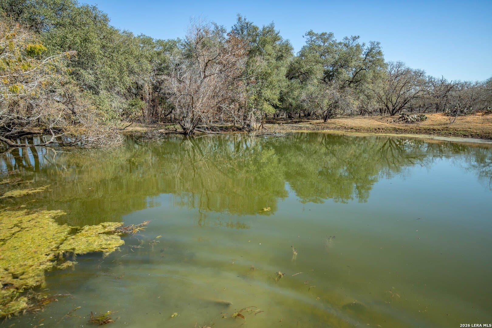 298 acres in Wilson County - photo 28