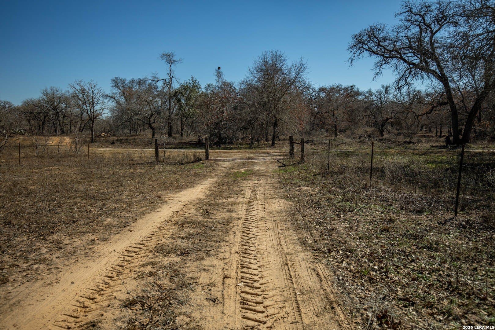 298 acres in Wilson County - photo 34