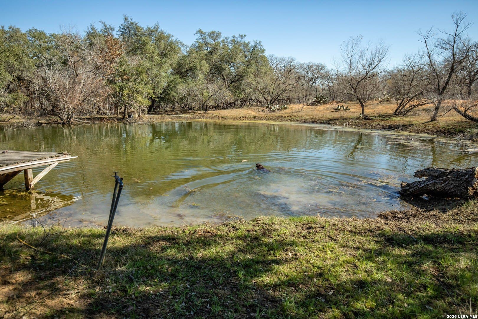 298 acres in Wilson County - photo 26