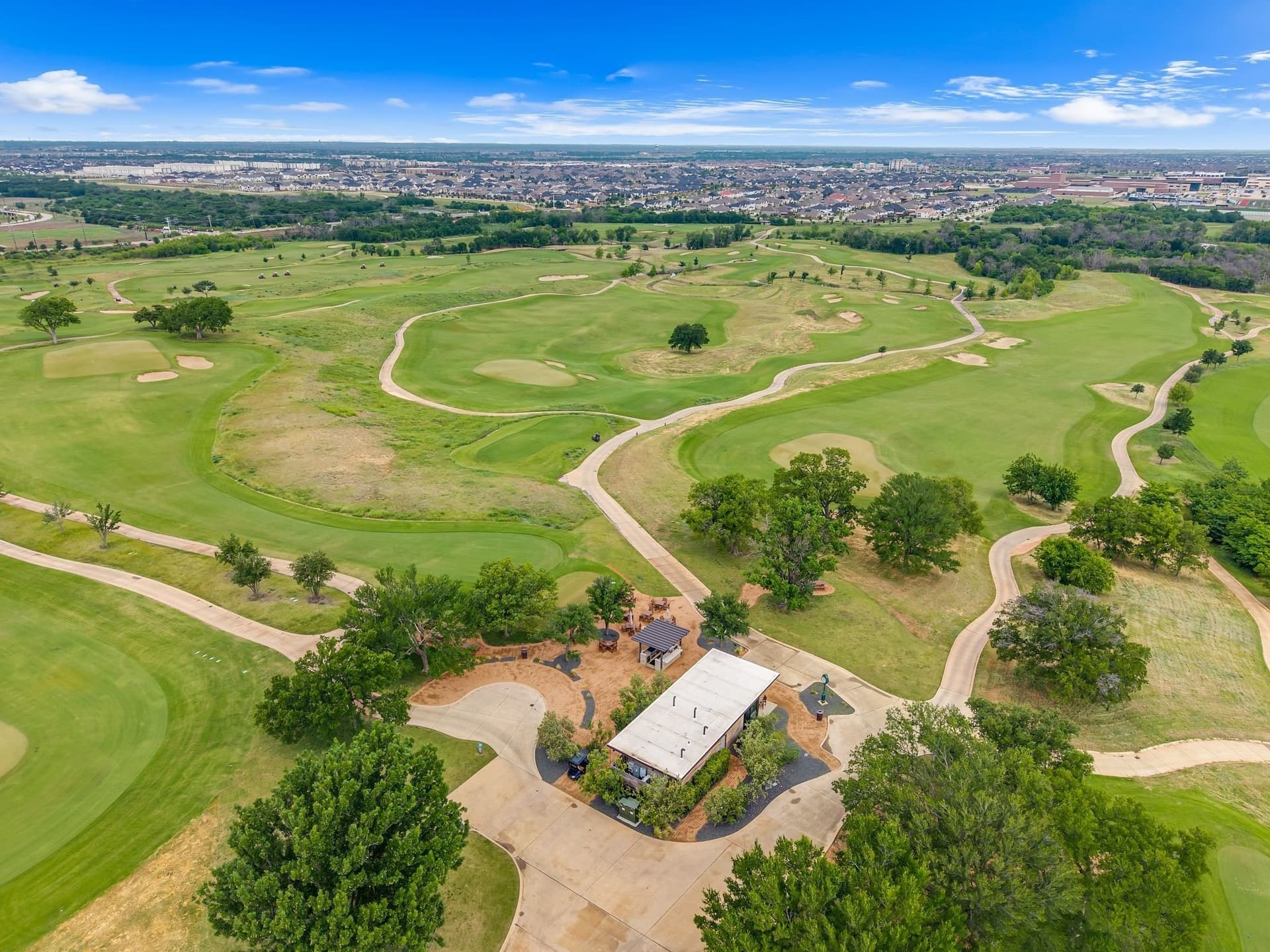 0.31 acres in Denton County - photo 16