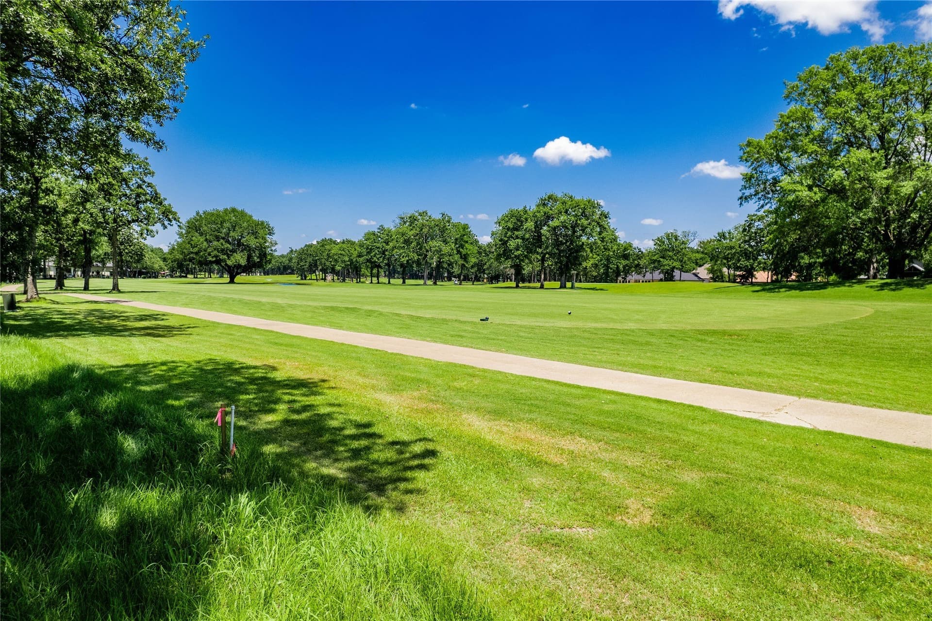 0.25 acres in Henderson County - photo 12