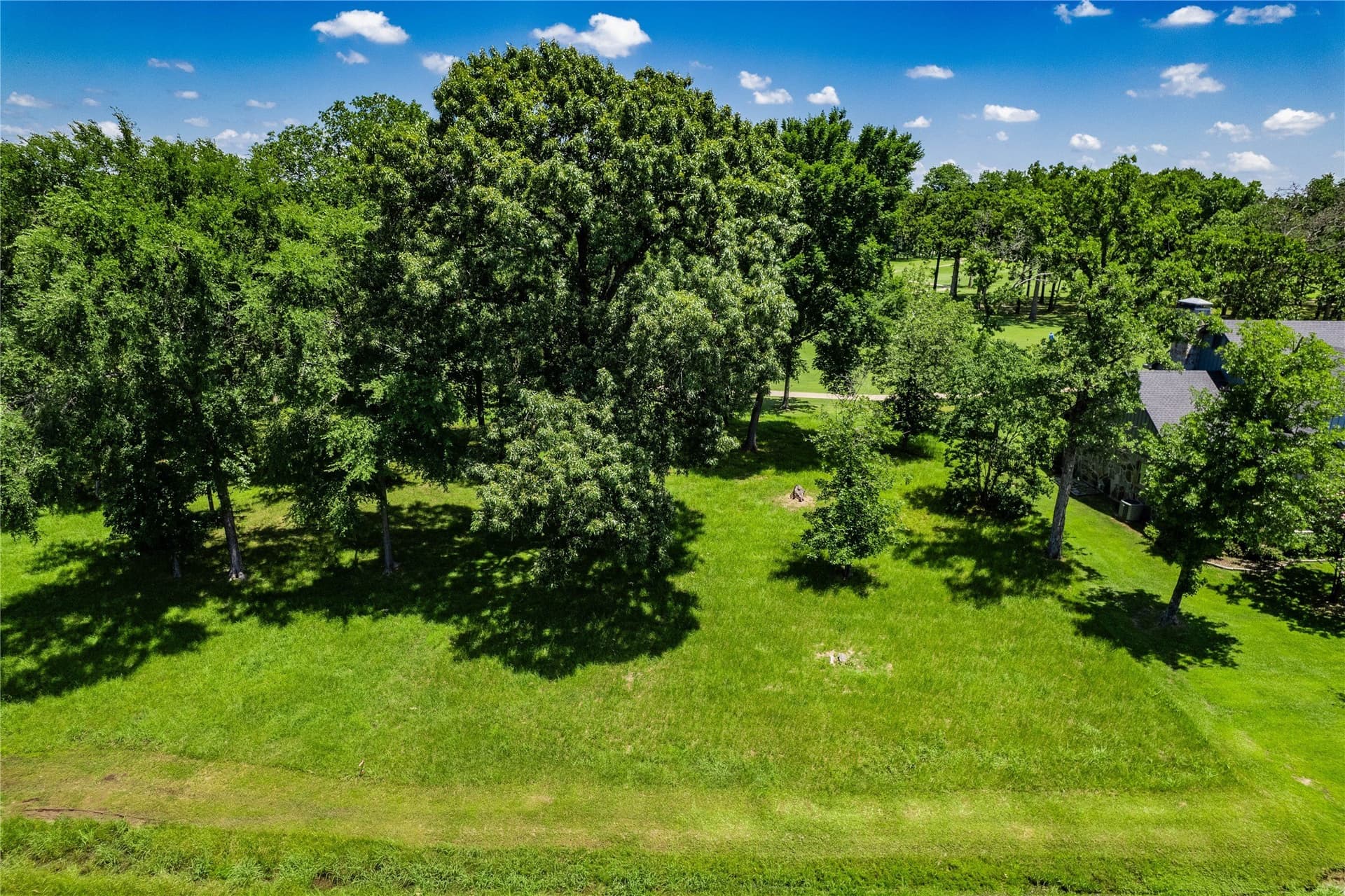 0.25 acres in Henderson County - photo 9