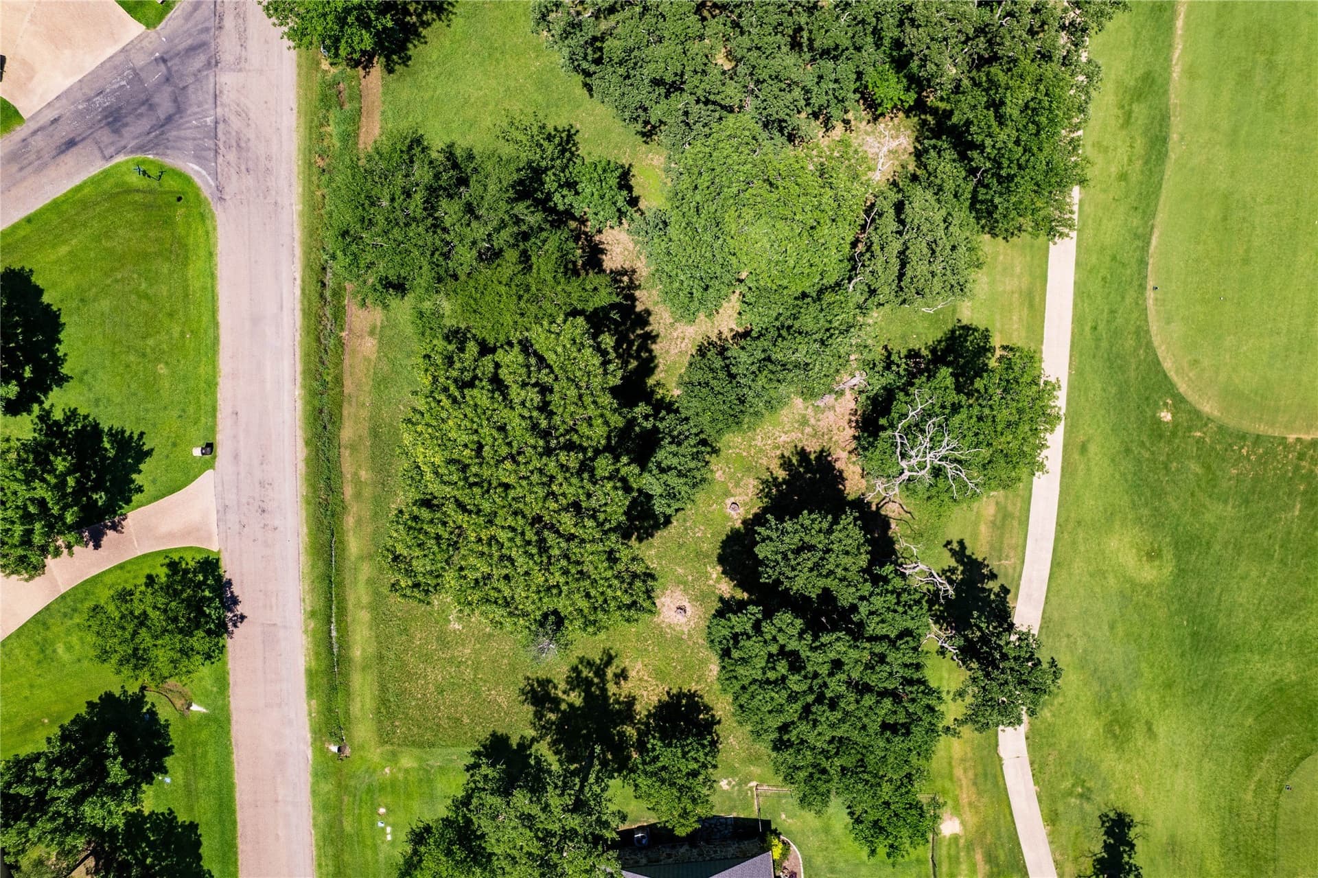 0.25 acres in Henderson County gallery image 4