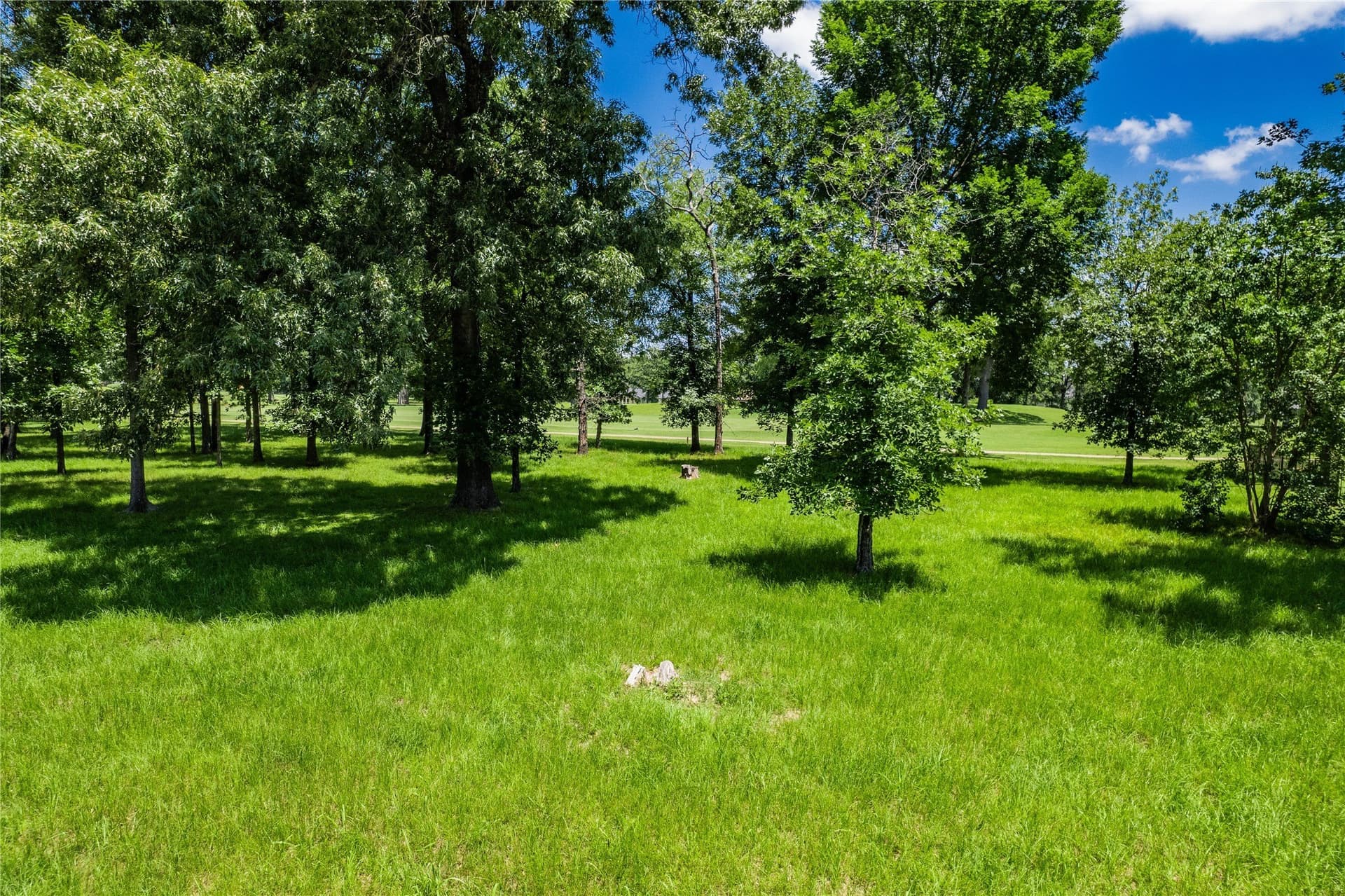 0.25 acres in Henderson County - photo 11