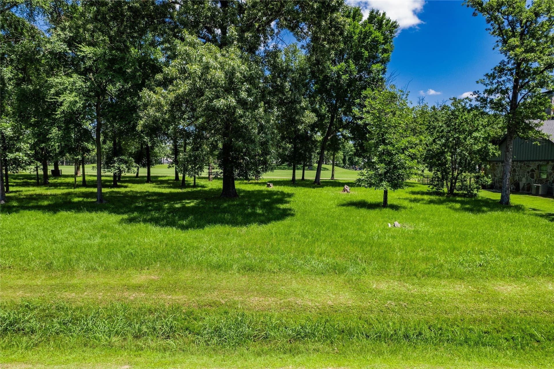 0.25 acres in Henderson County - photo 10