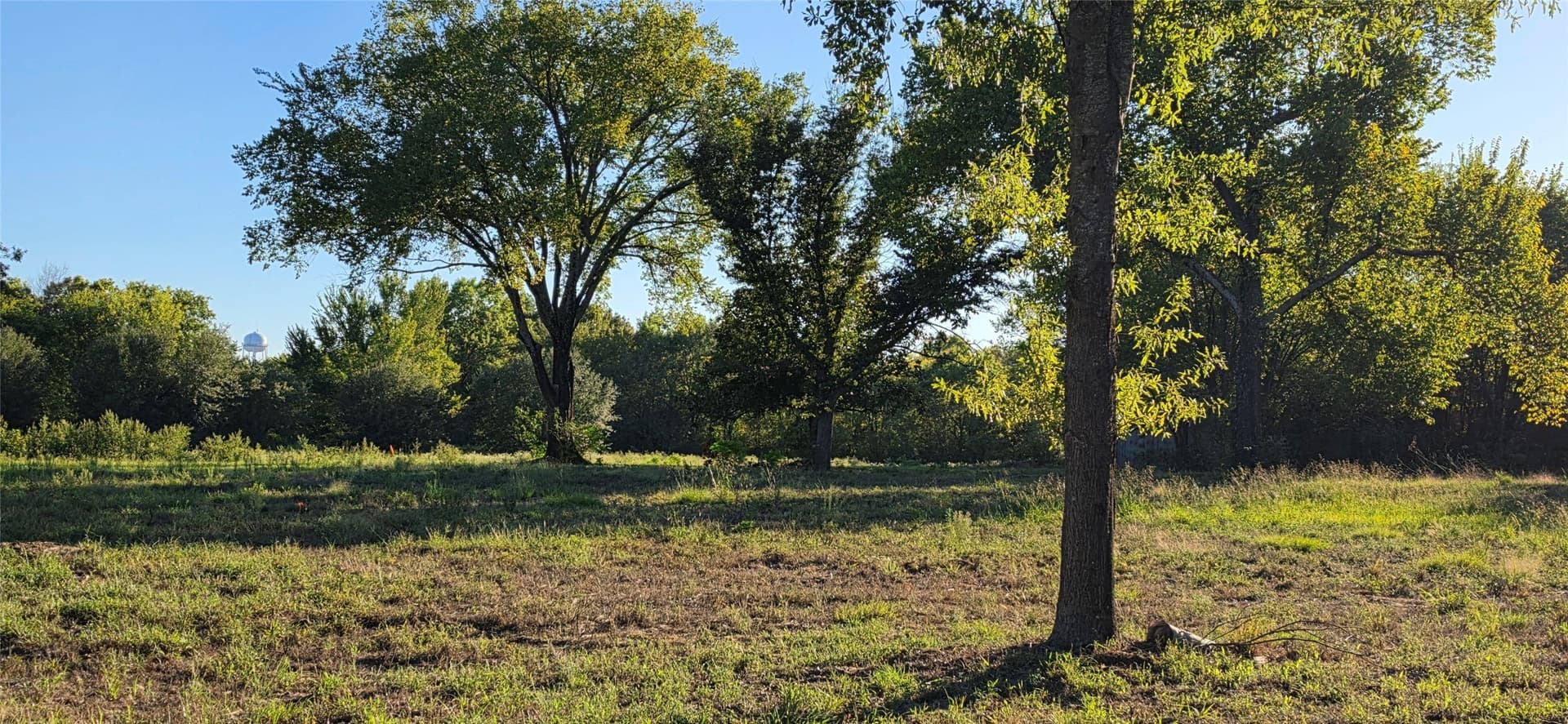 1.5 acres in Van Zandt County - photo 3