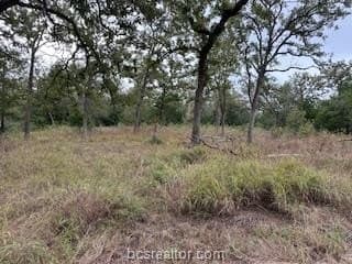 0.53 acres in Burleson County gallery image 4