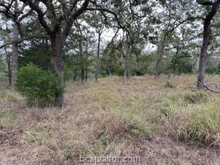 0.53 acres in Burleson County featured view