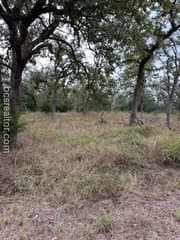 0.53 acres in Burleson County gallery image 3