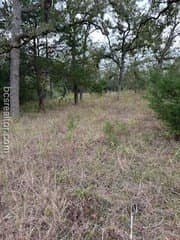 0.53 acres in Burleson County gallery image 2