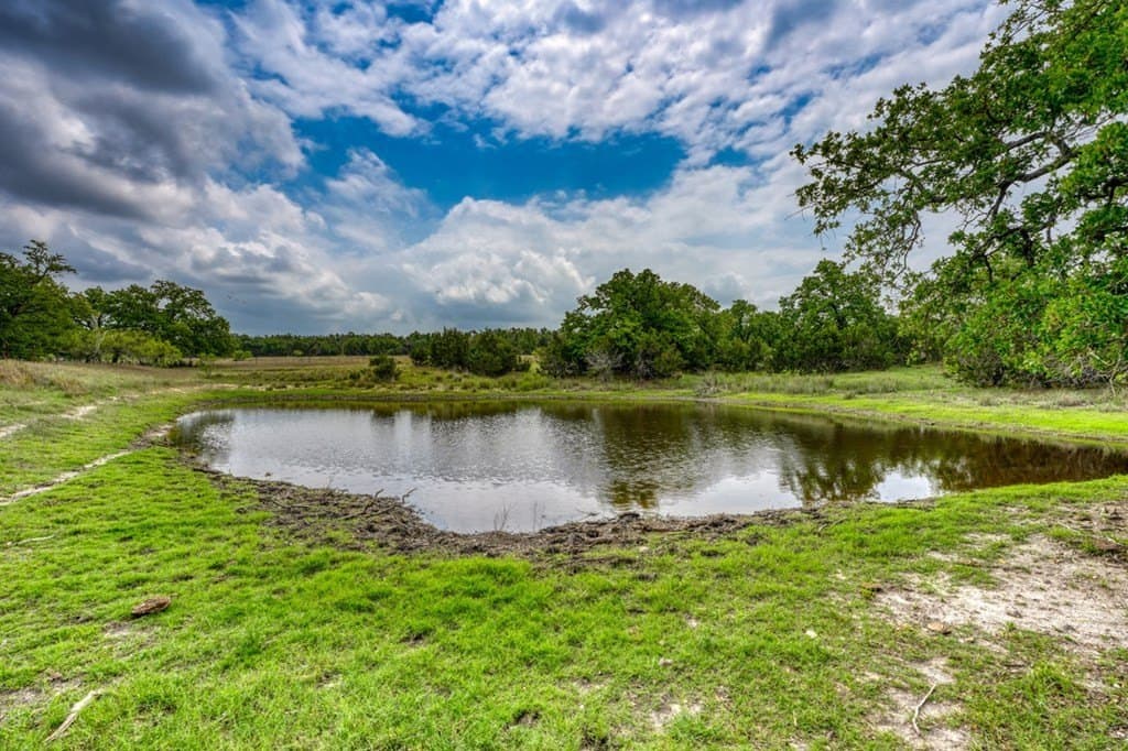 189 acres in Gillespie County - photo 9