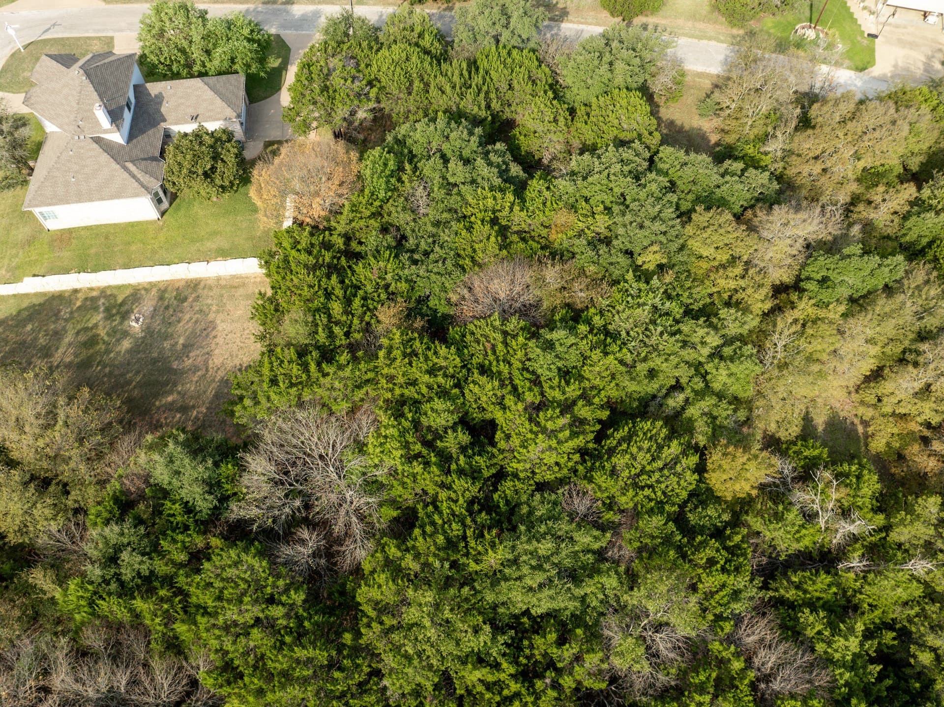 0.29 acres in Hill County - photo 7