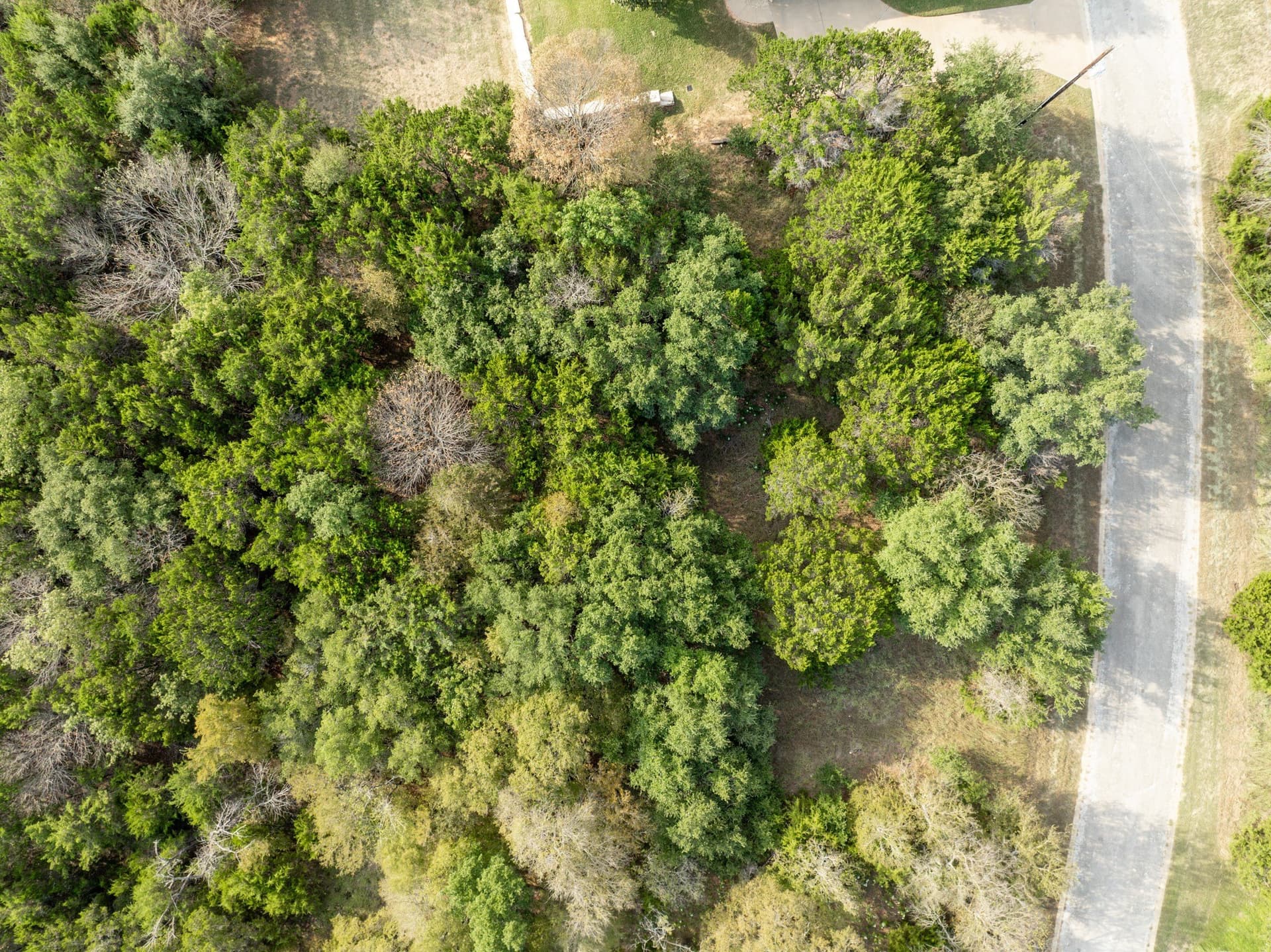 0.29 acres in Hill County - photo 8