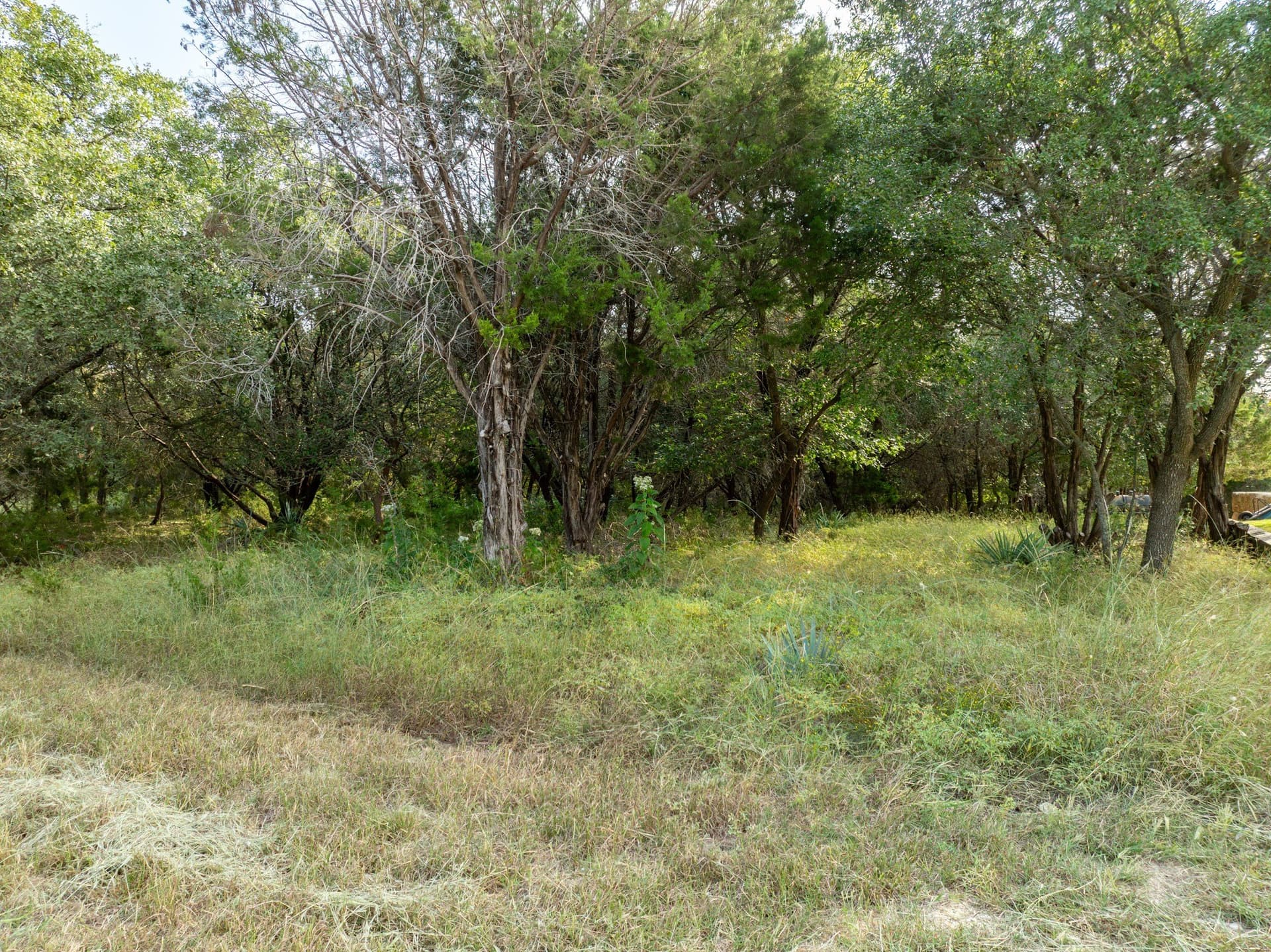 0.29 acres in Hill County - photo 17
