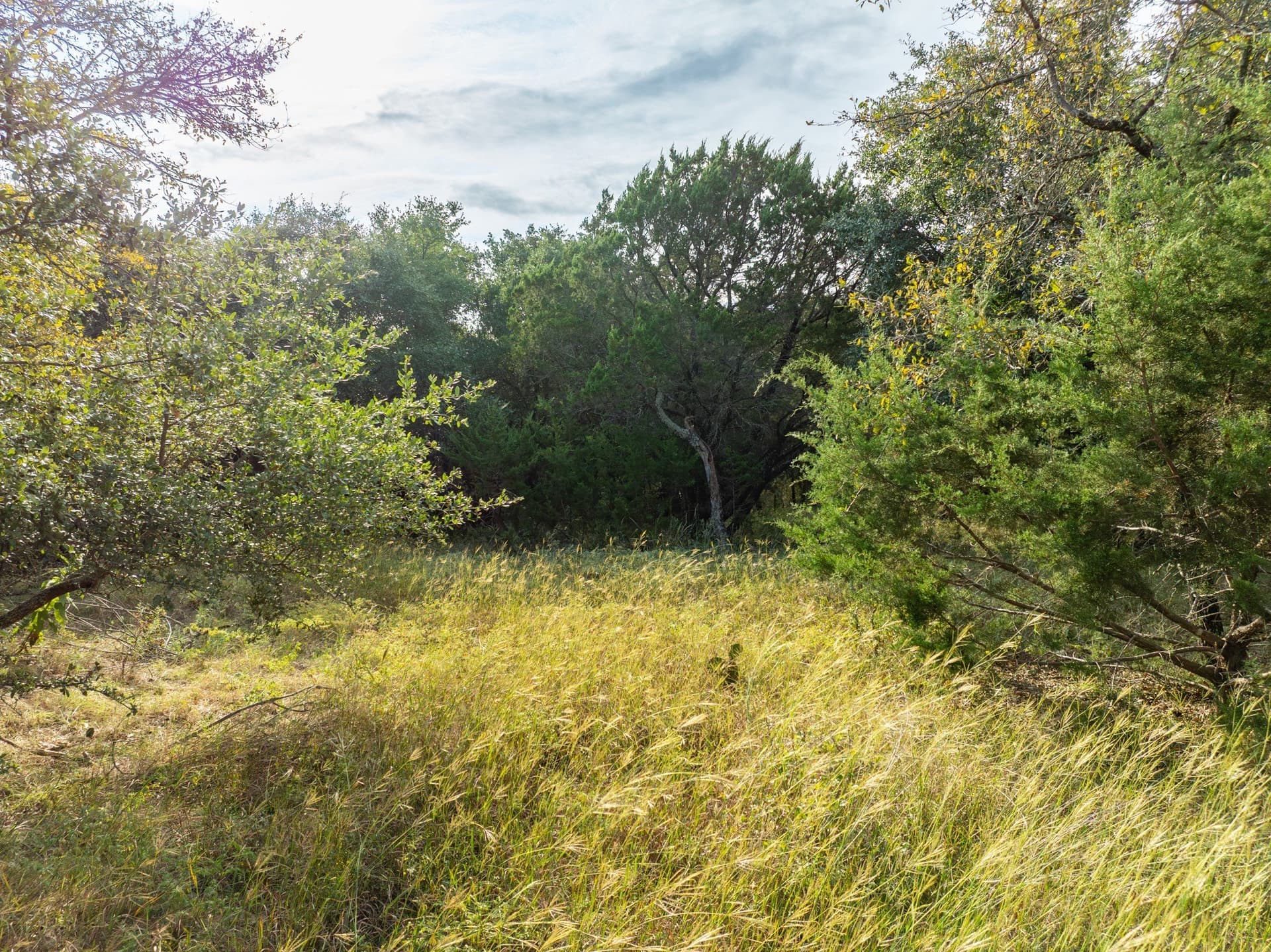 0.29 acres in Hill County - photo 13