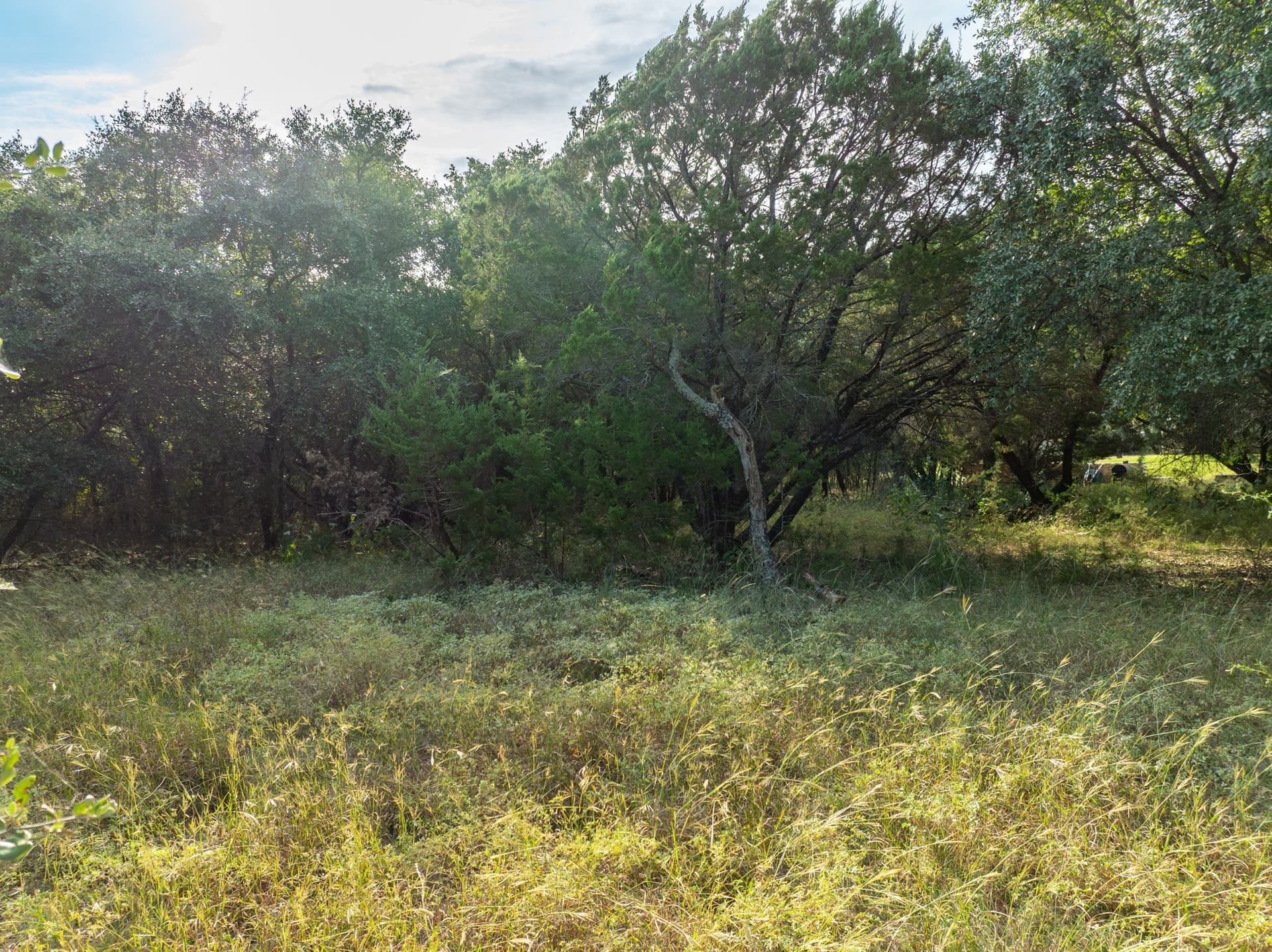 0.29 acres in Hill County - photo 14