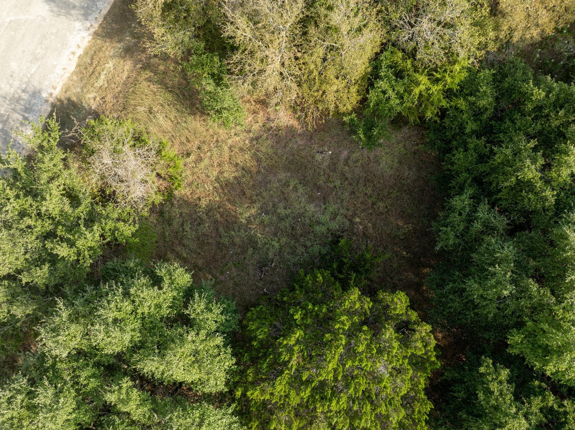 0.29 acres in Hill County - photo 10