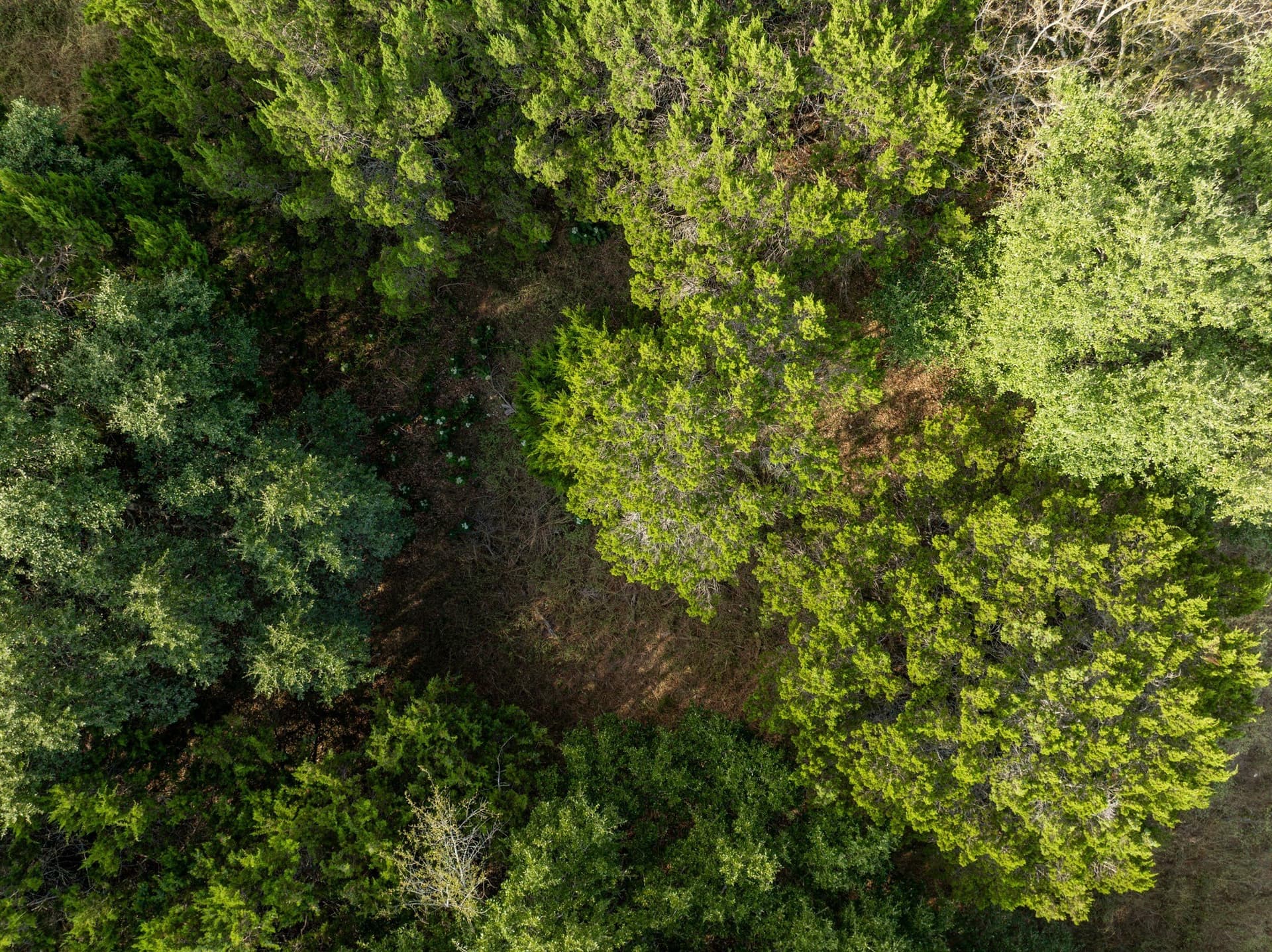 0.29 acres in Hill County - photo 9