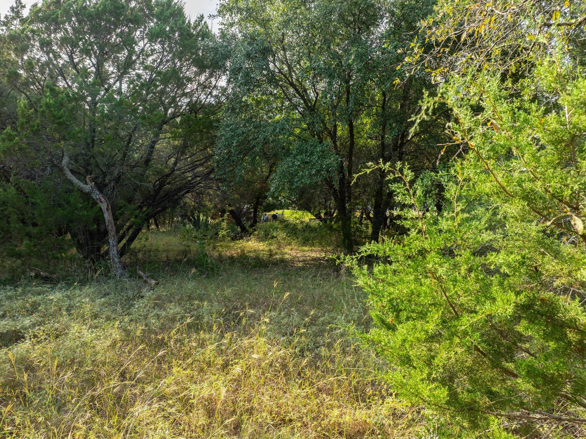 0.29 acres in Hill County - photo 15