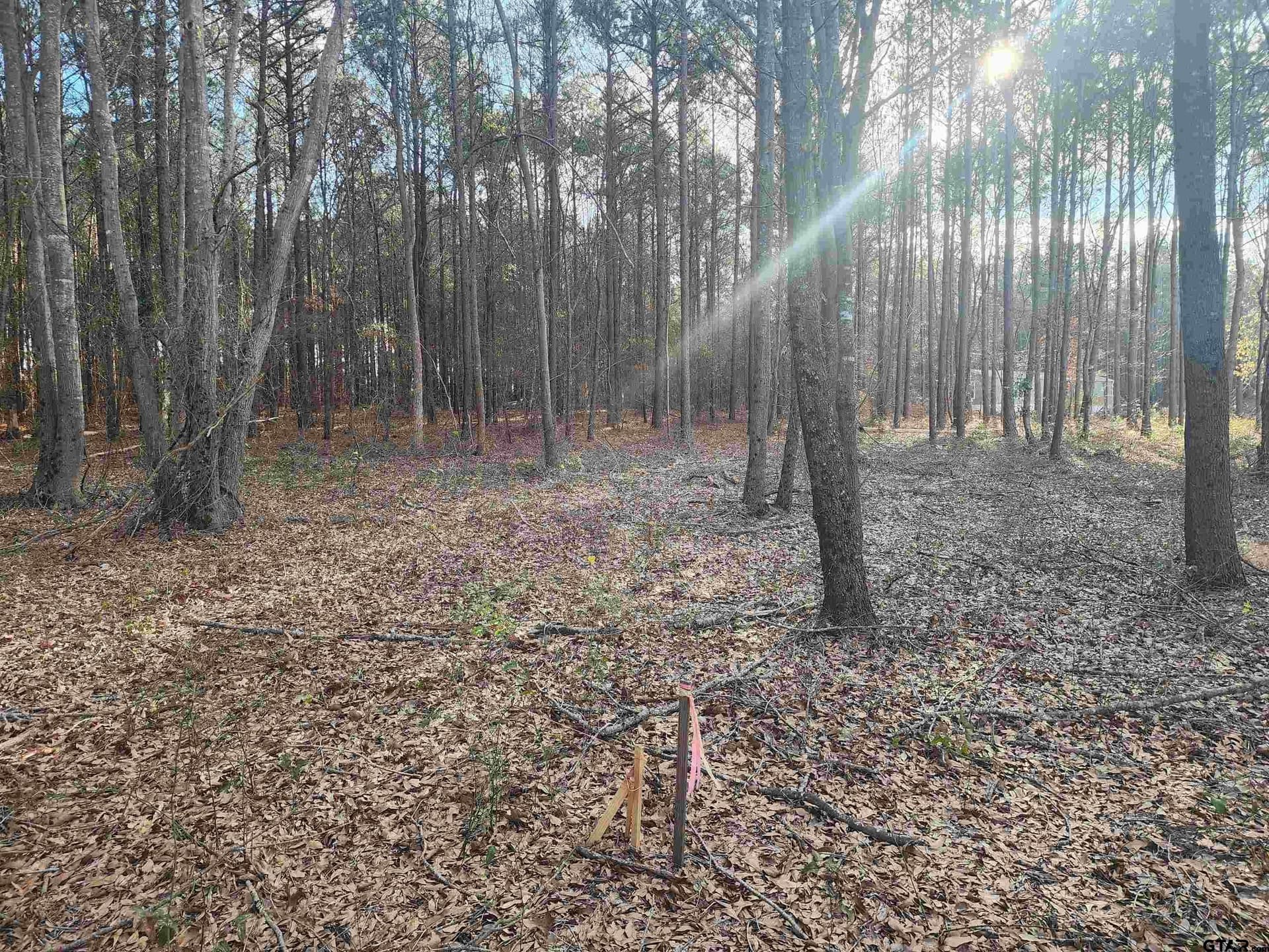 2 acres in Camp County - photo 8