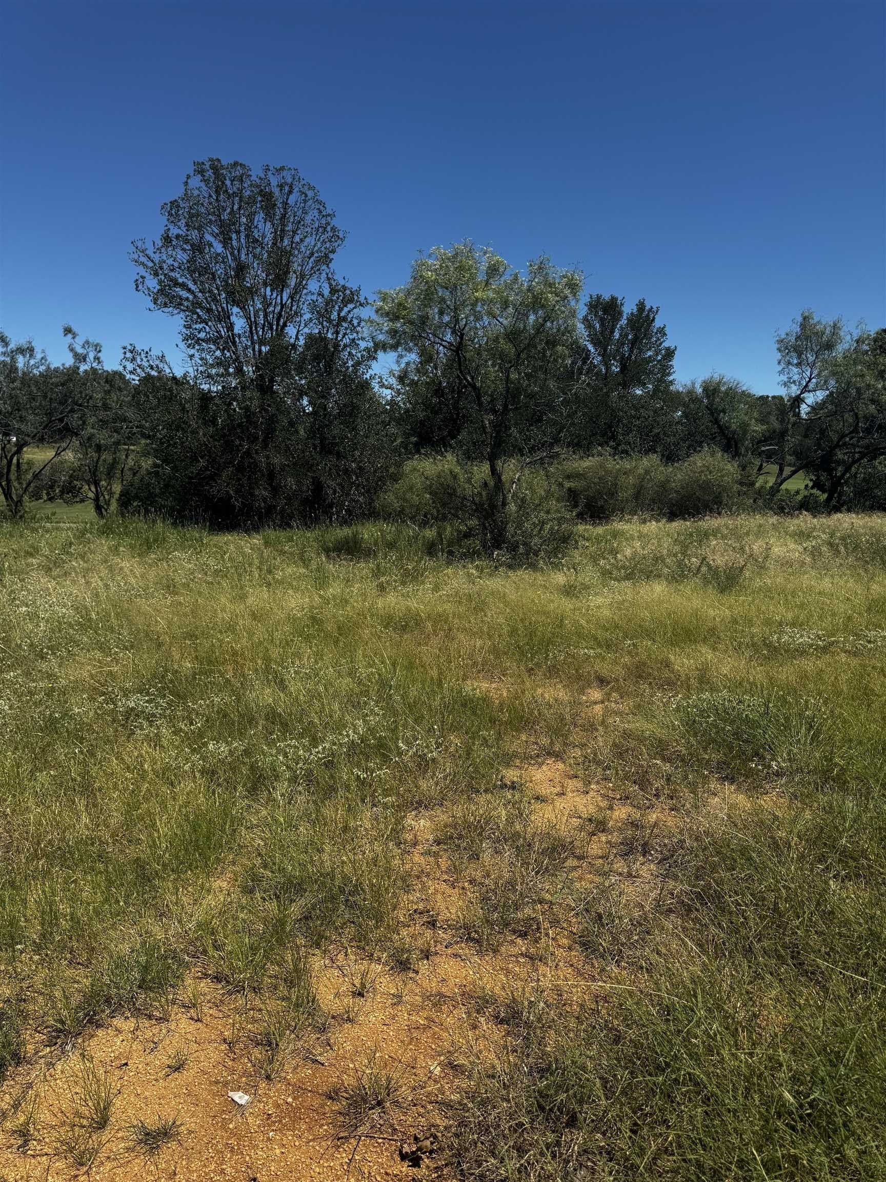 0.12 acres in Llano County - photo 5