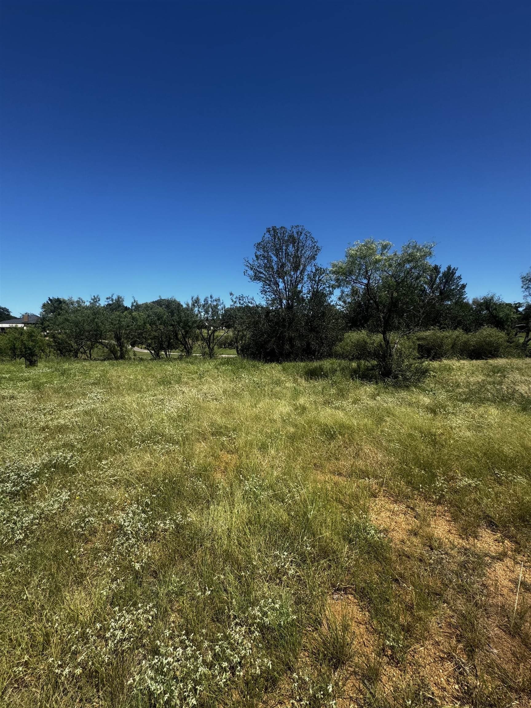 0.12 acres in Llano County - photo 10