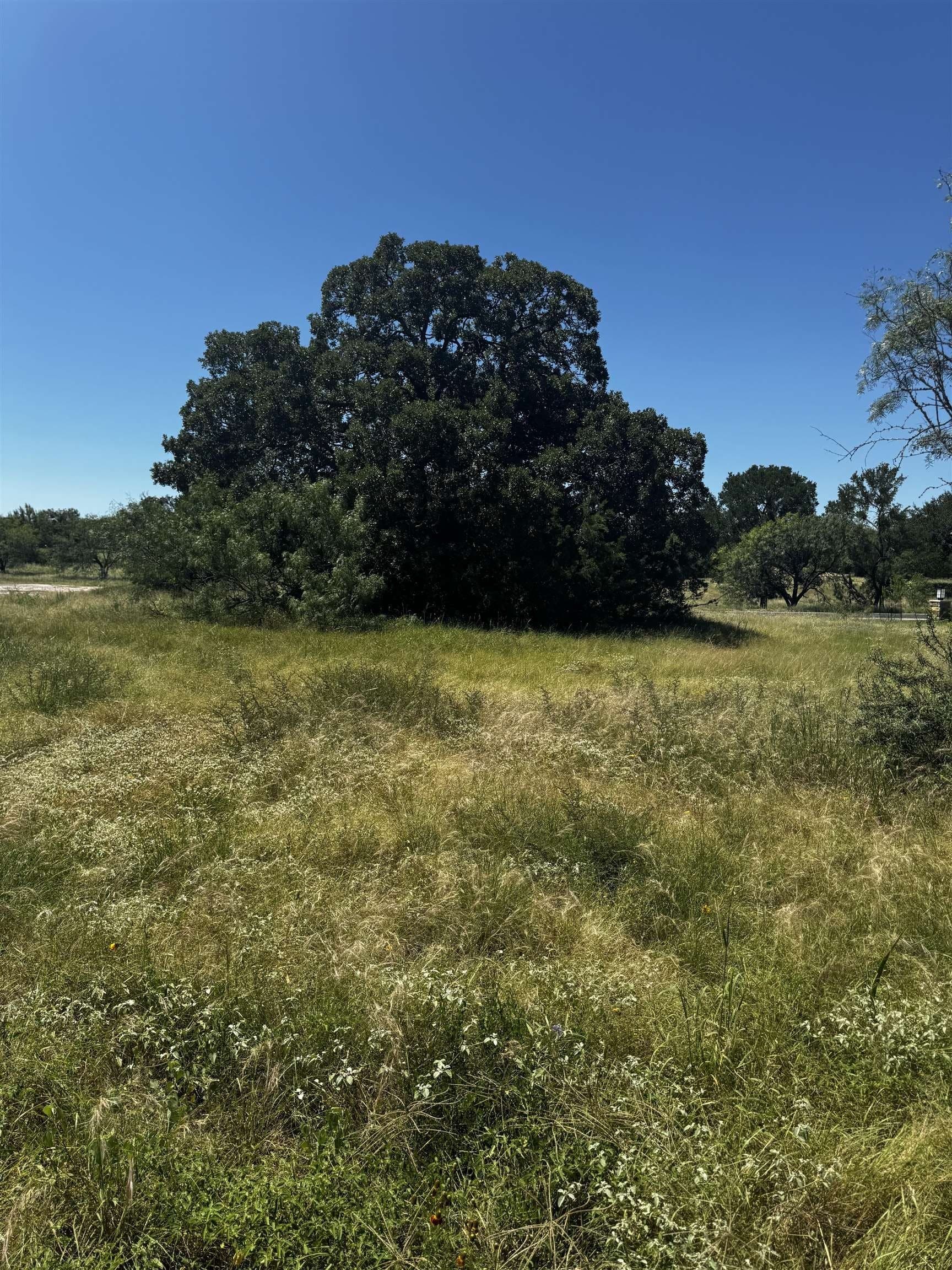 0.12 acres in Llano County - photo 8