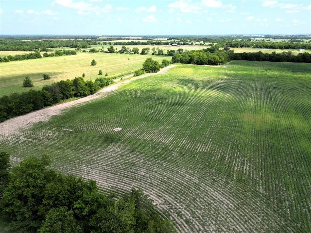 48 acres in Delta County gallery image 4