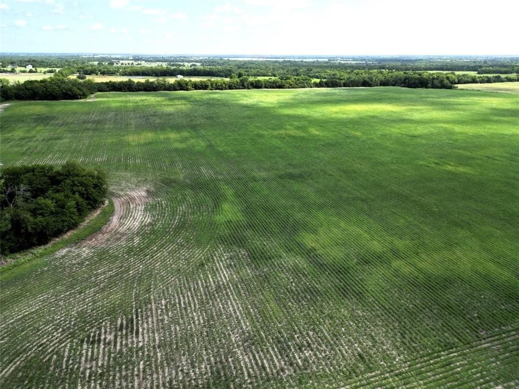 48 acres in Delta County gallery image 3