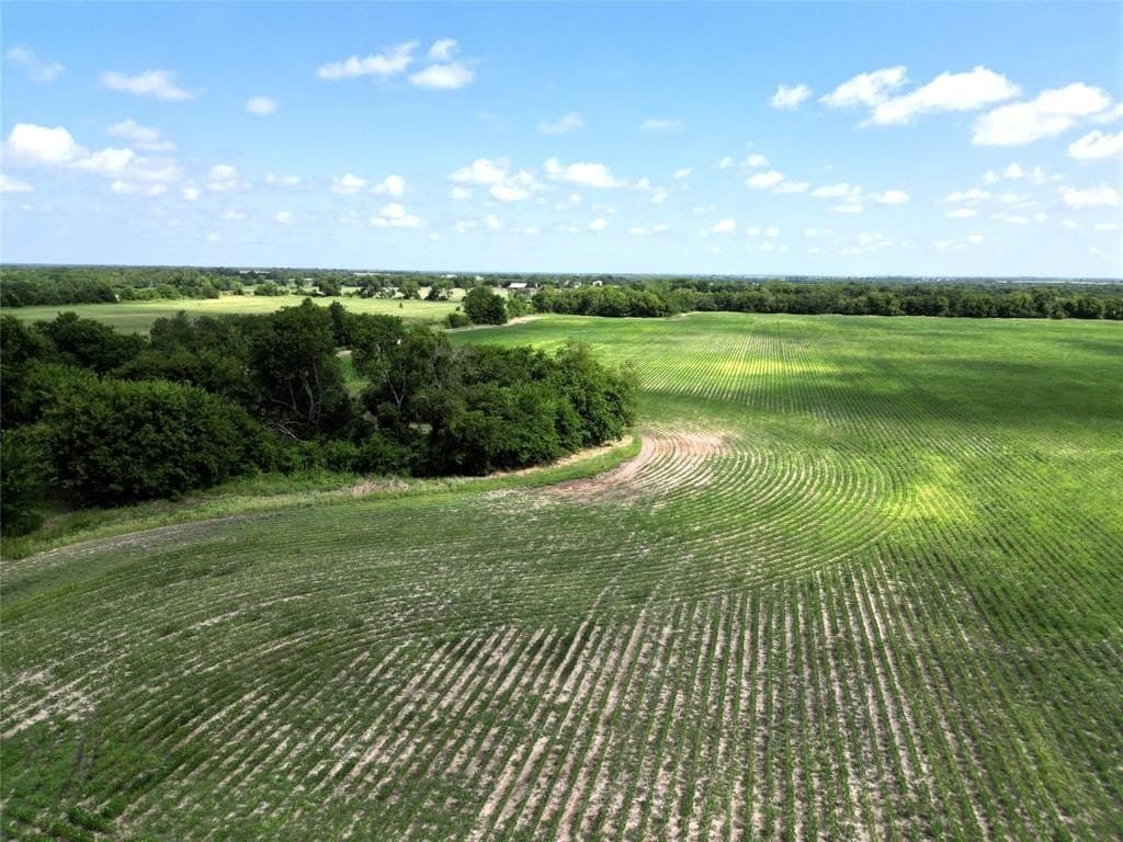 48 acres in Delta County gallery image 2