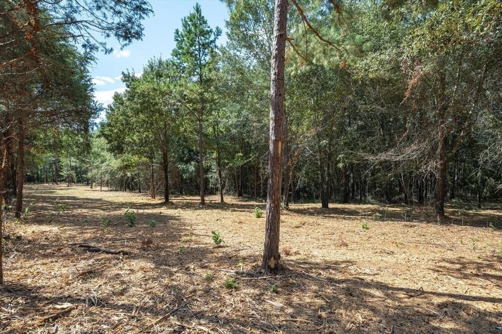 94.16 acres in Smith County featured view