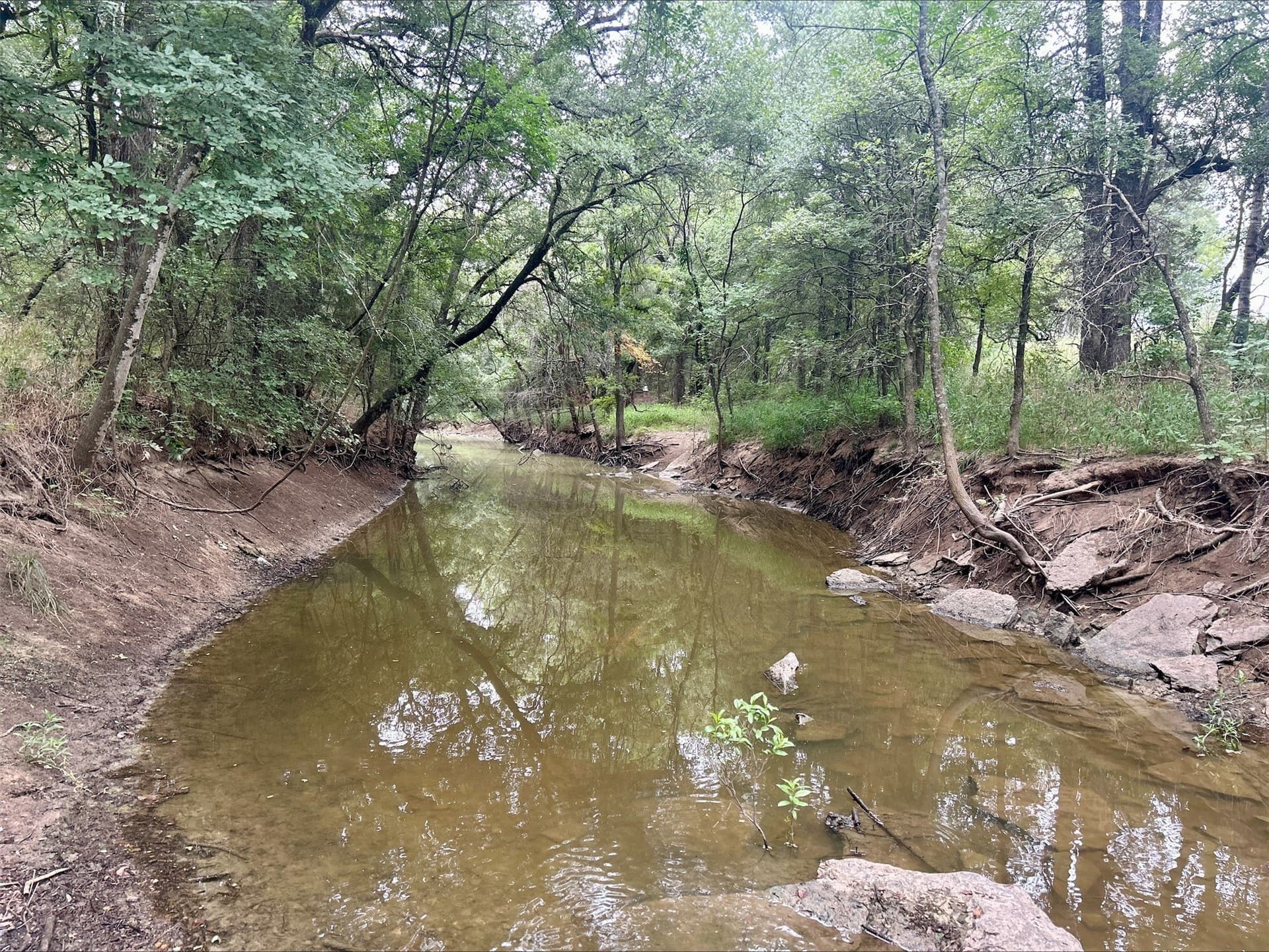 6.01 acres in Erath County - photo 13