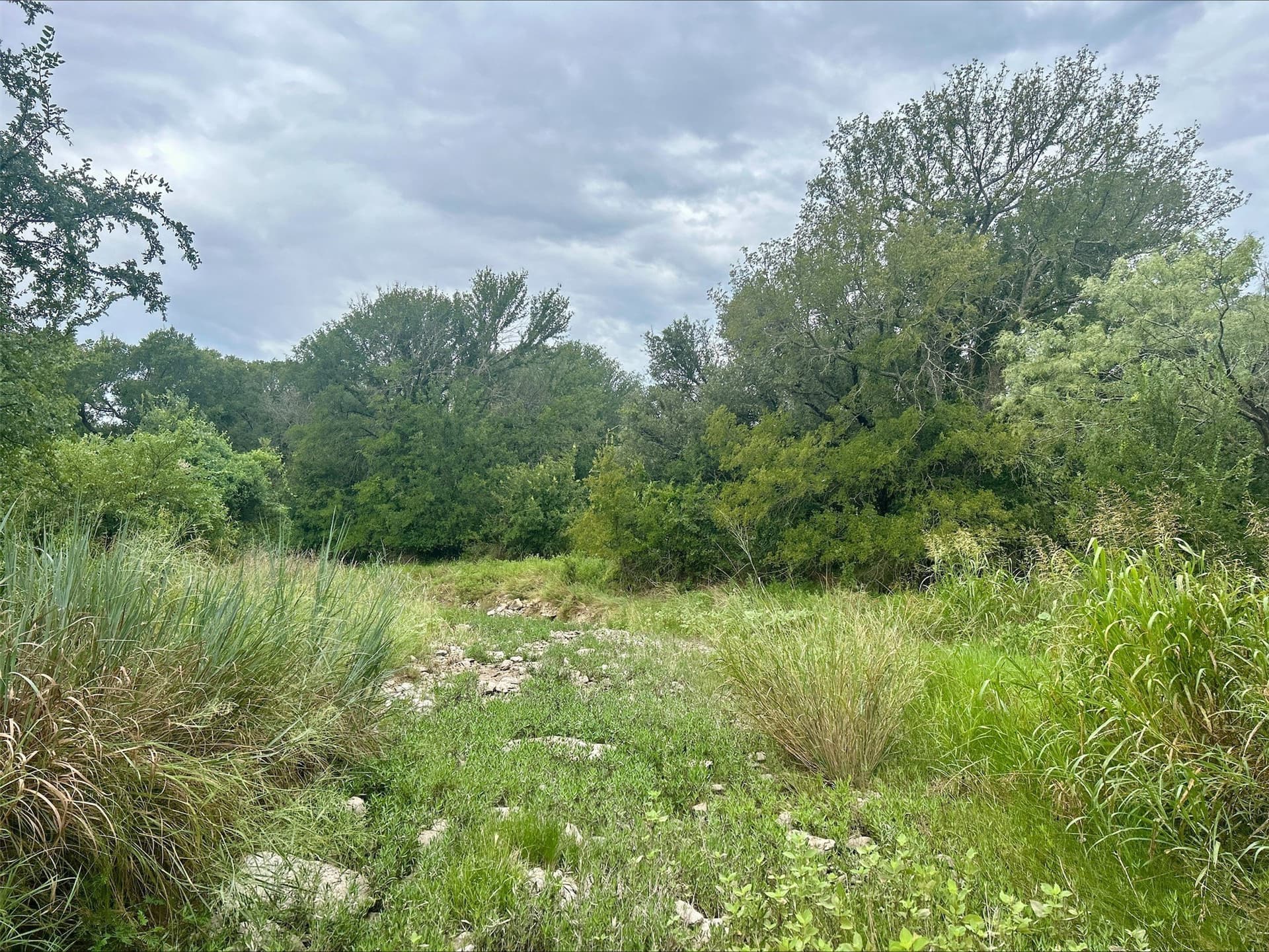 6.01 acres in Erath County - photo 19