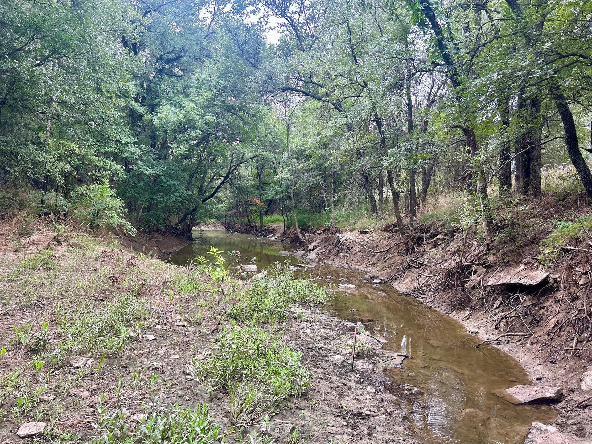 6.01 acres in Erath County - photo 12
