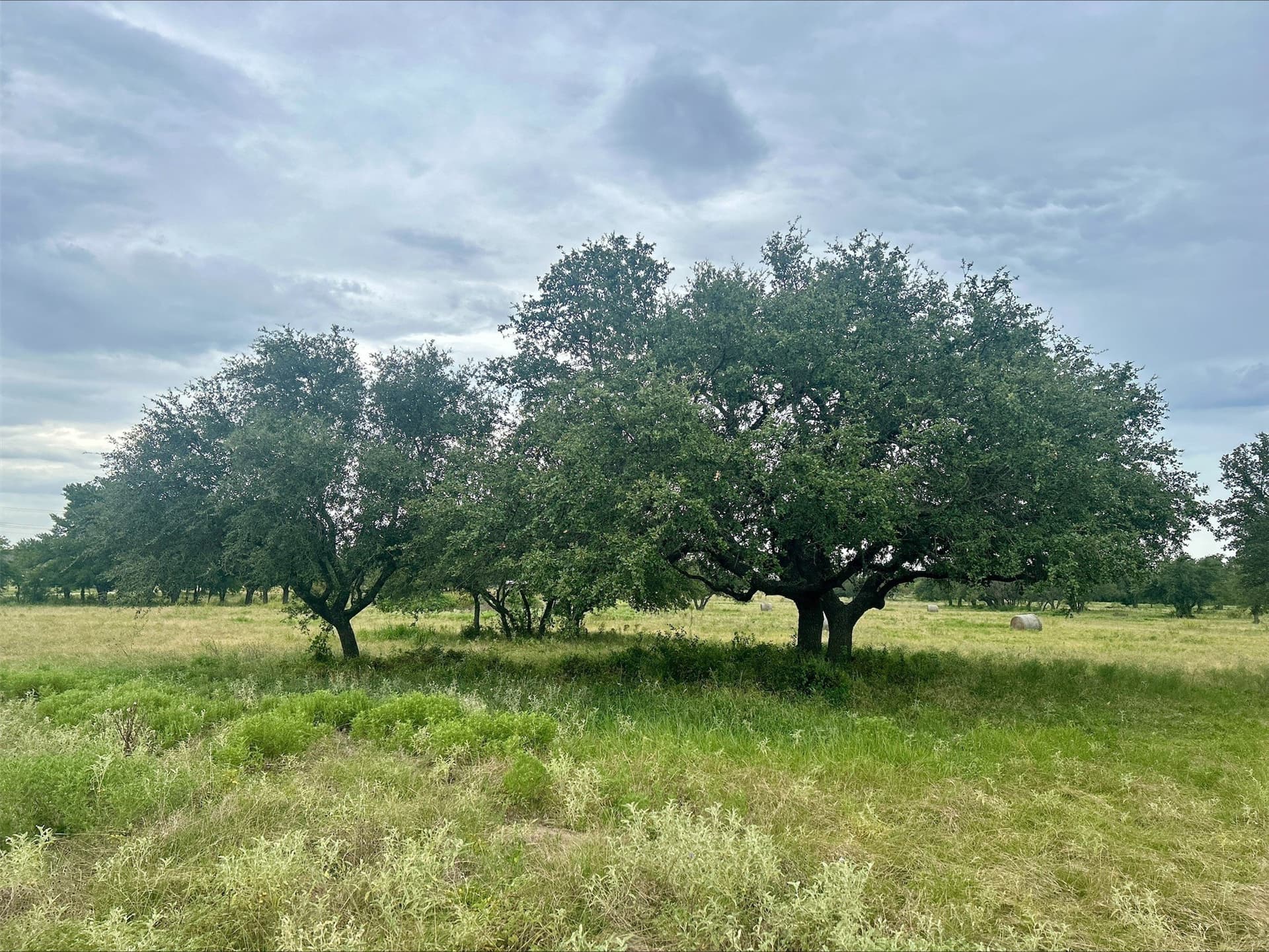 6.01 acres in Erath County - photo 9