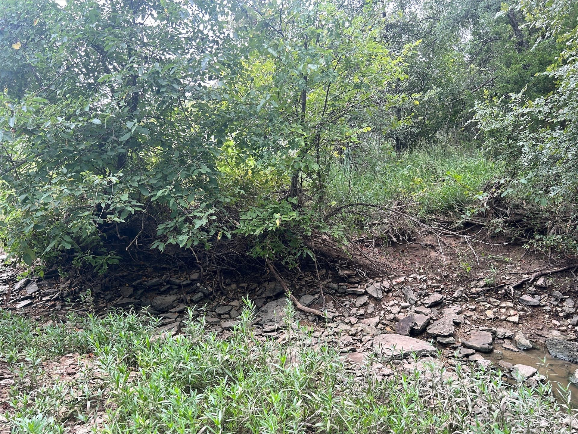 6.01 acres in Erath County - photo 20
