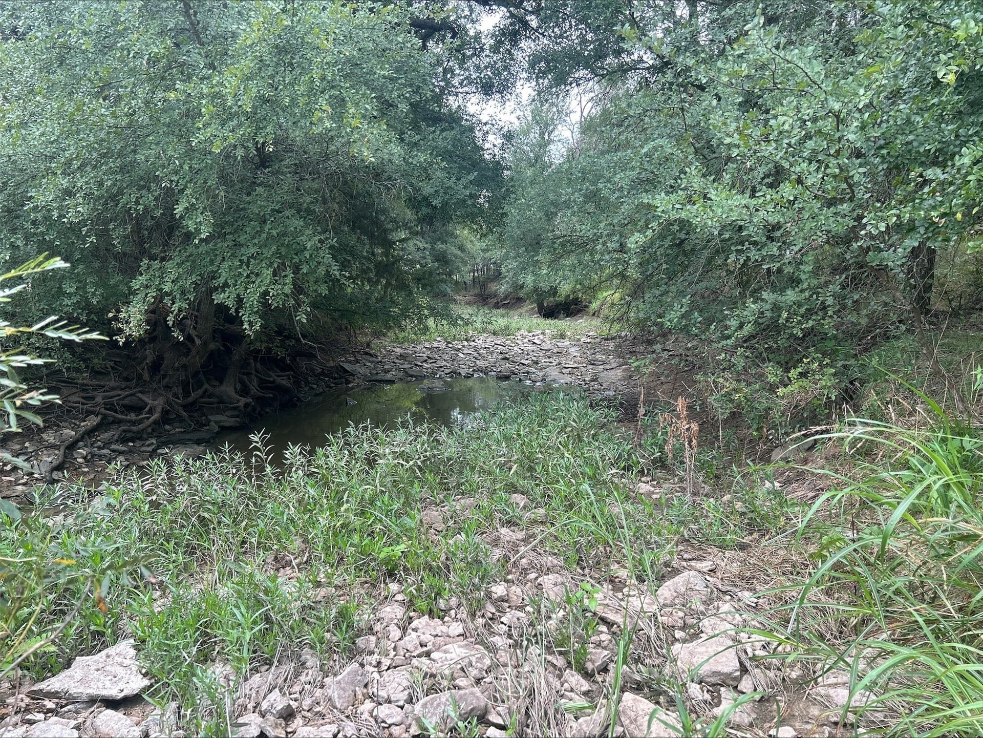 6.01 acres in Erath County - photo 22