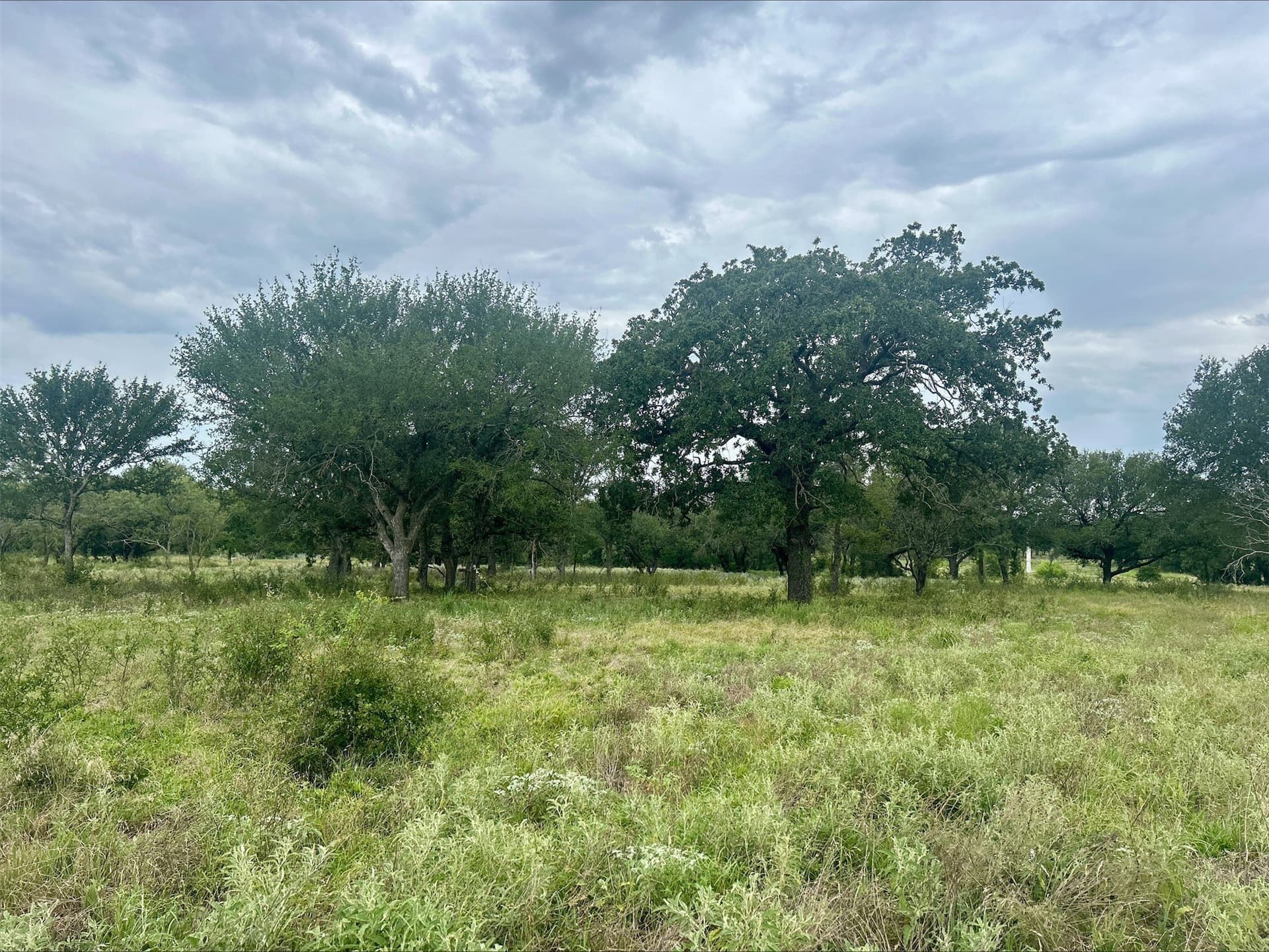 6.01 acres in Erath County - photo 16