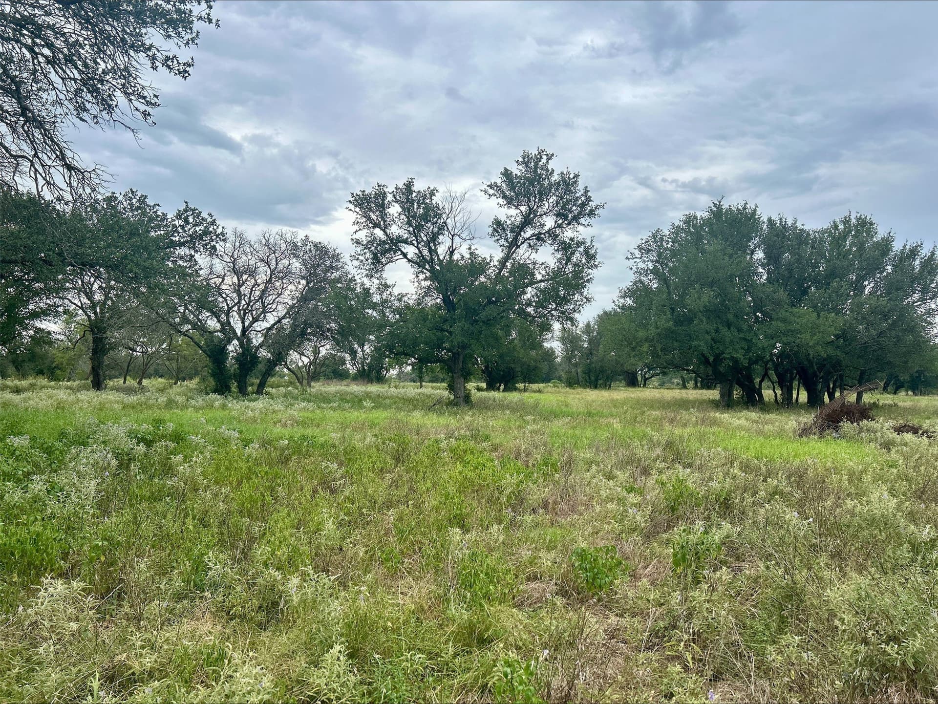 6.01 acres in Erath County - photo 11