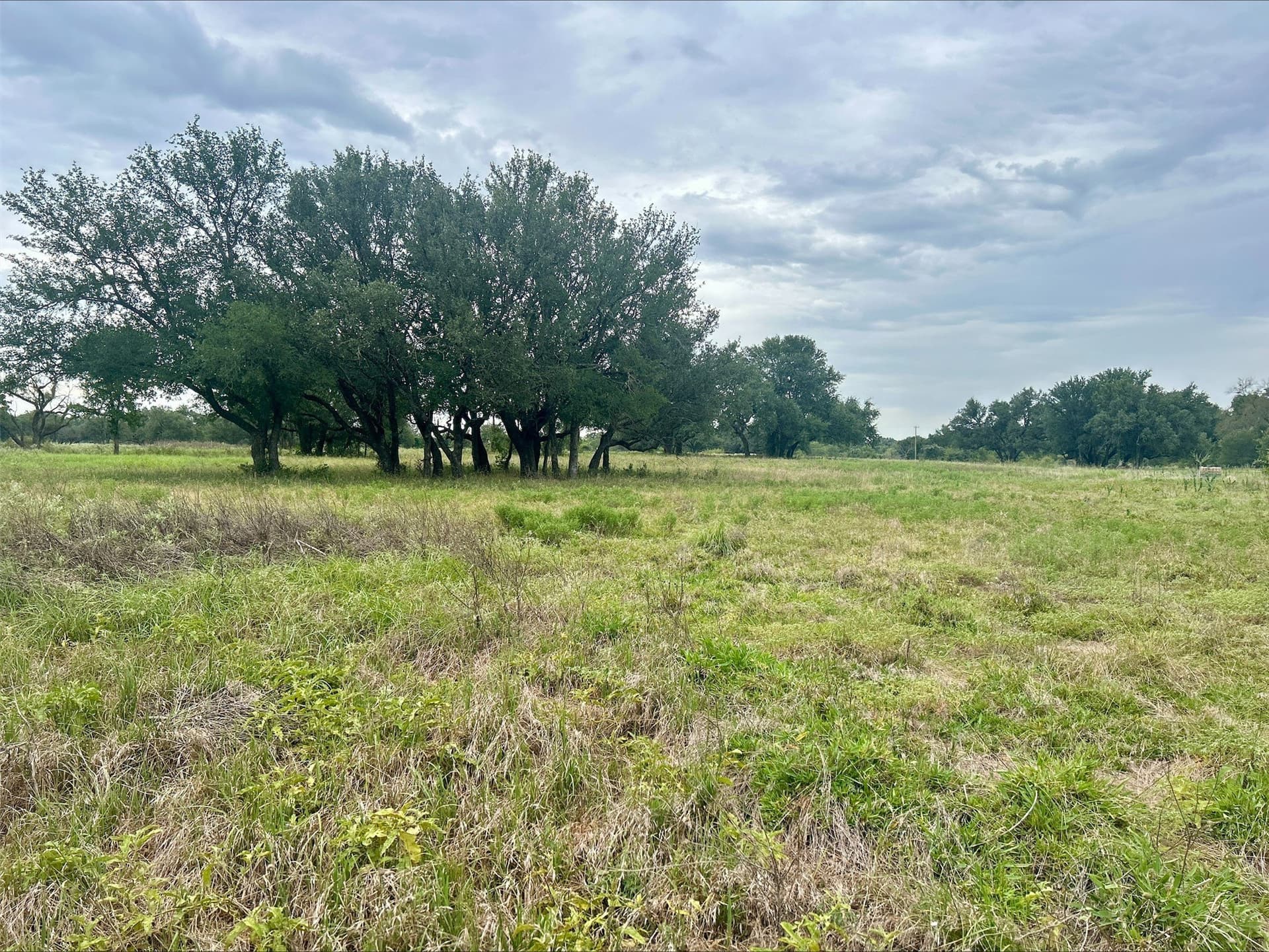 6.01 acres in Erath County - photo 29