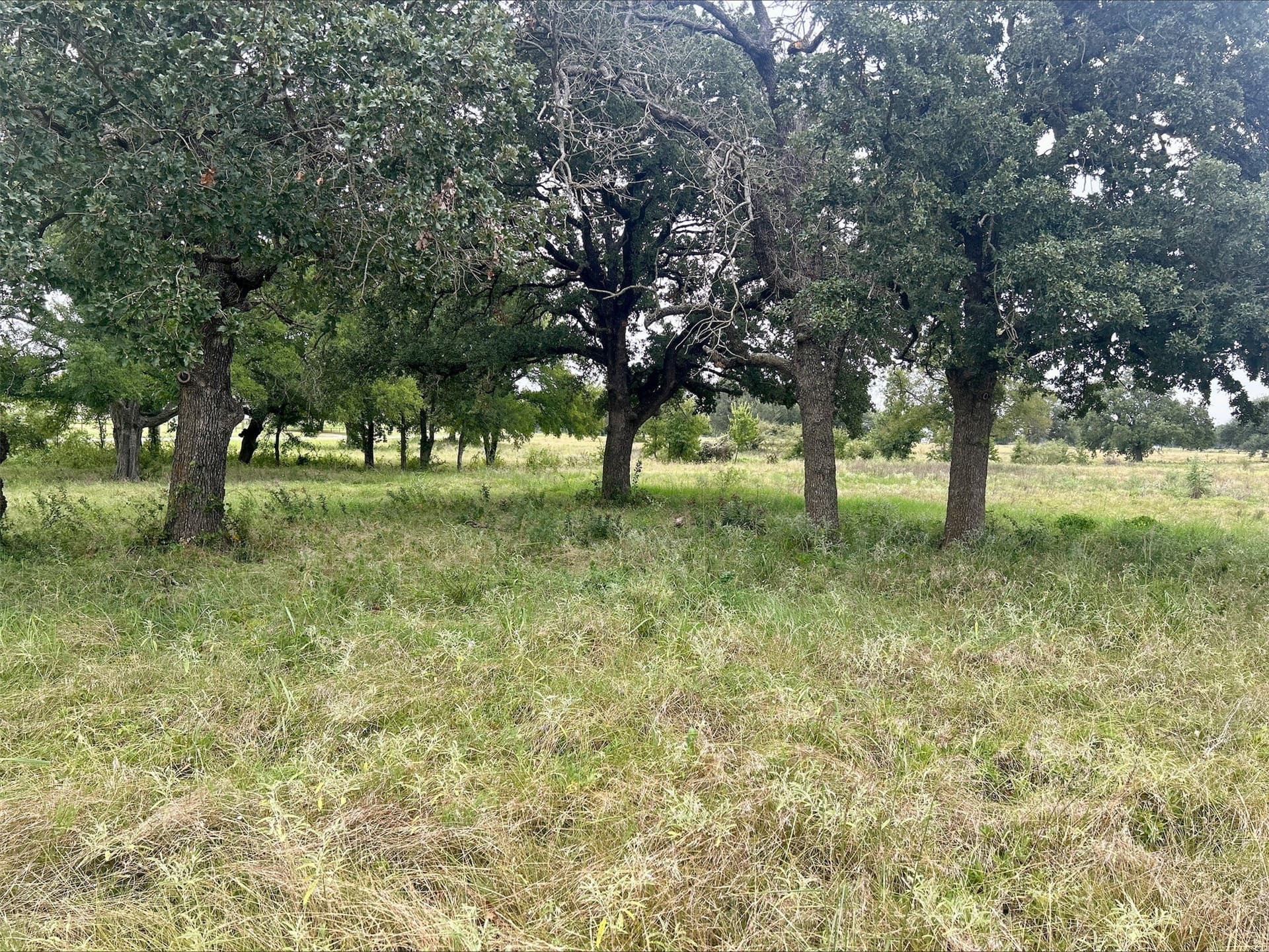 6.01 acres in Erath County - photo 27