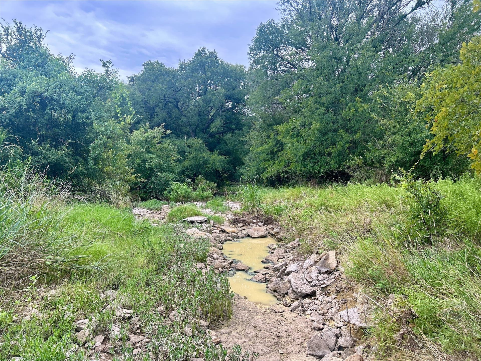 6.01 acres in Erath County - photo 17