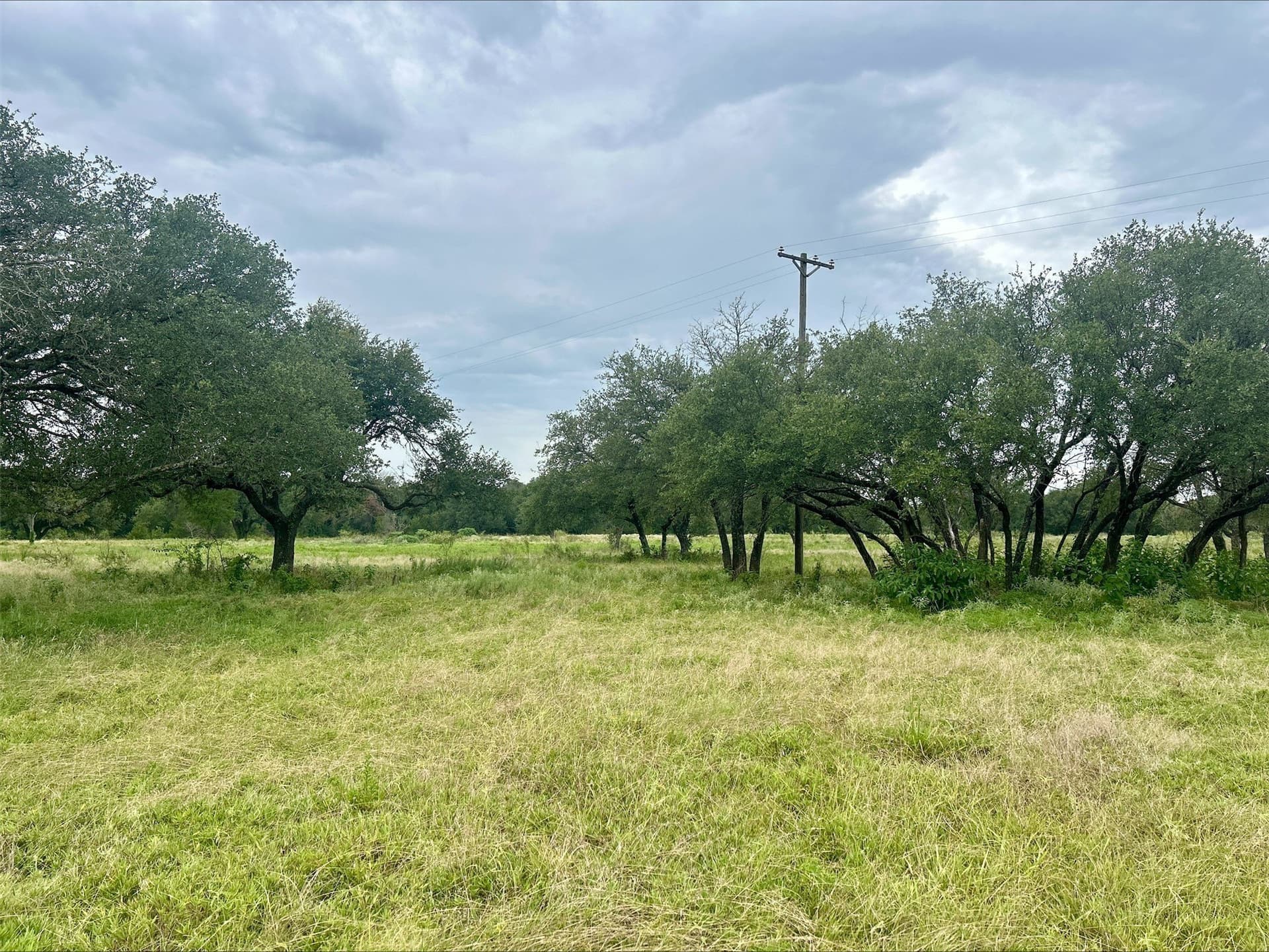 6.01 acres in Erath County - photo 8
