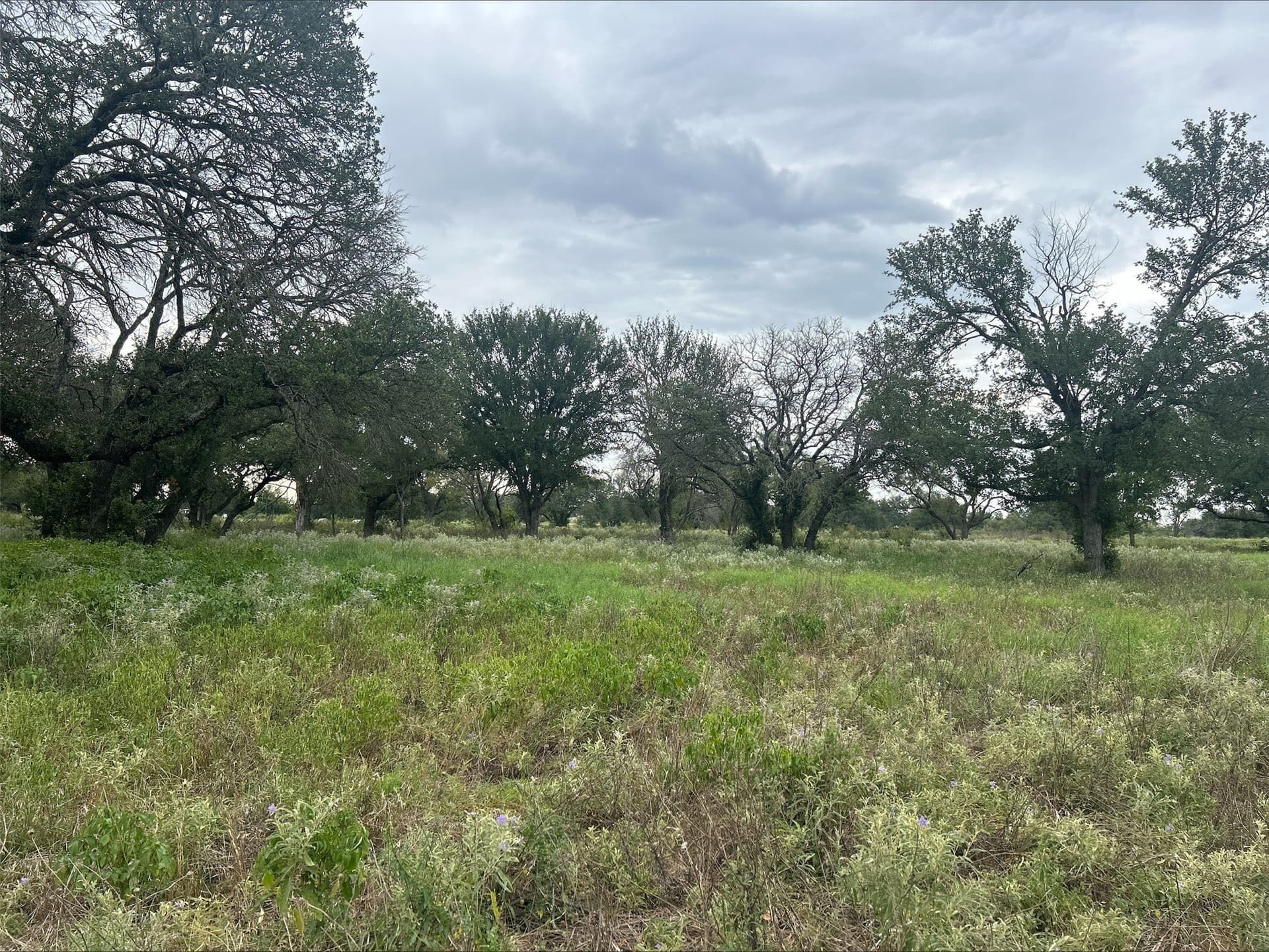 6.01 acres in Erath County - photo 25