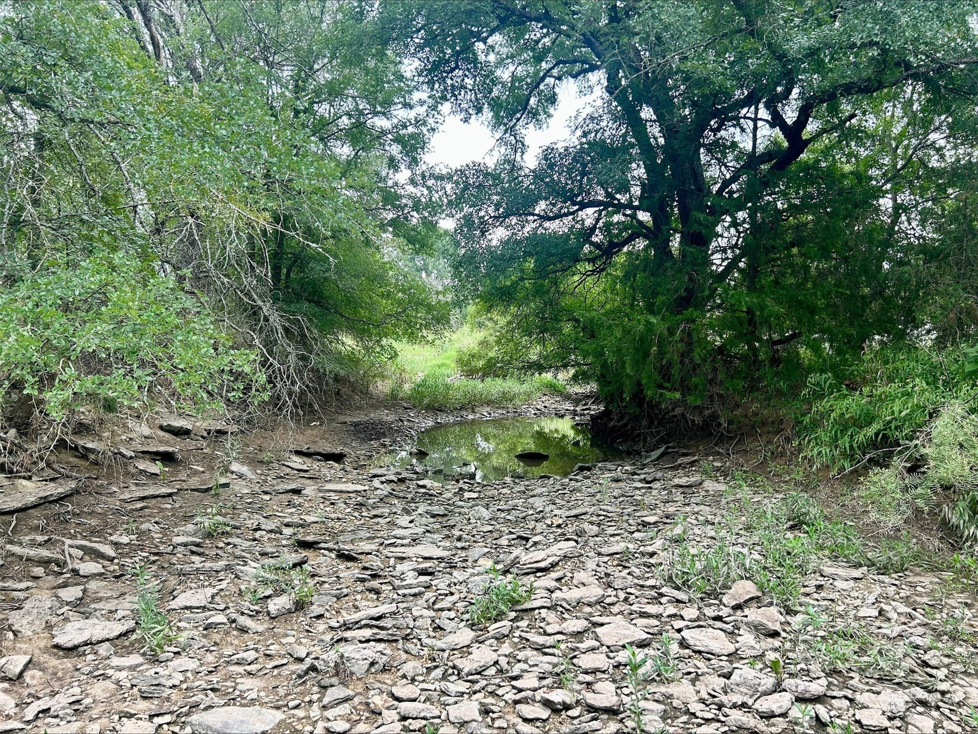 6.01 acres in Erath County - photo 15