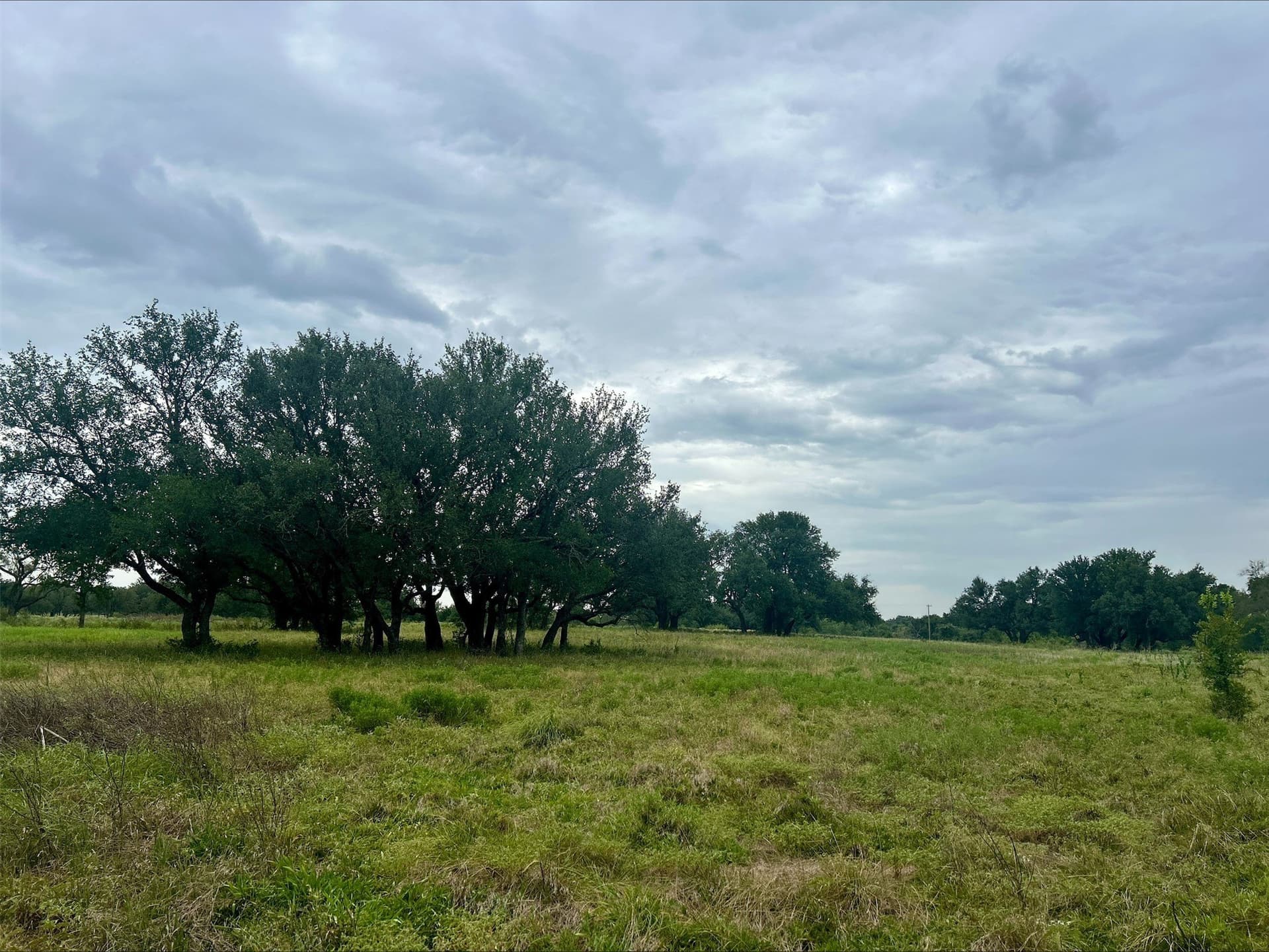 6.01 acres in Erath County - photo 28