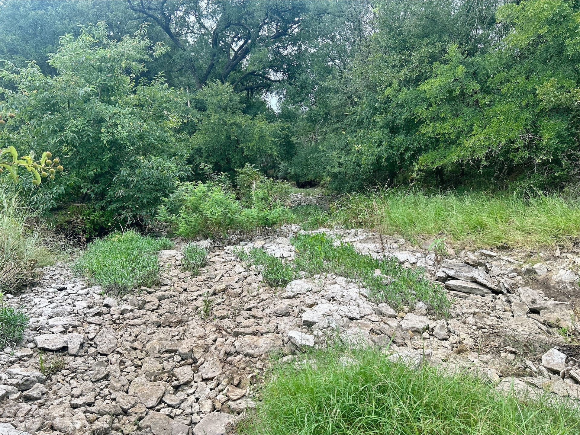 6.01 acres in Erath County - photo 14