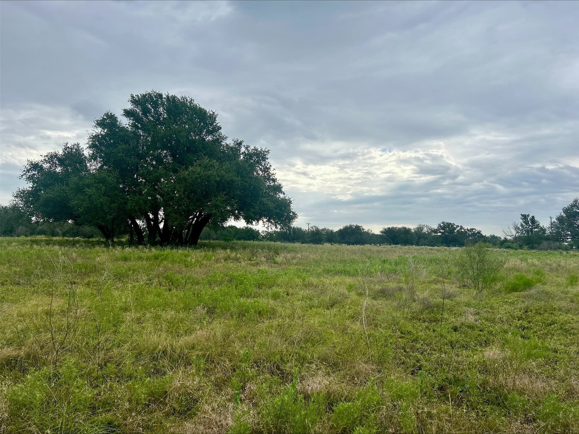 6.01 acres in Erath County - photo 26
