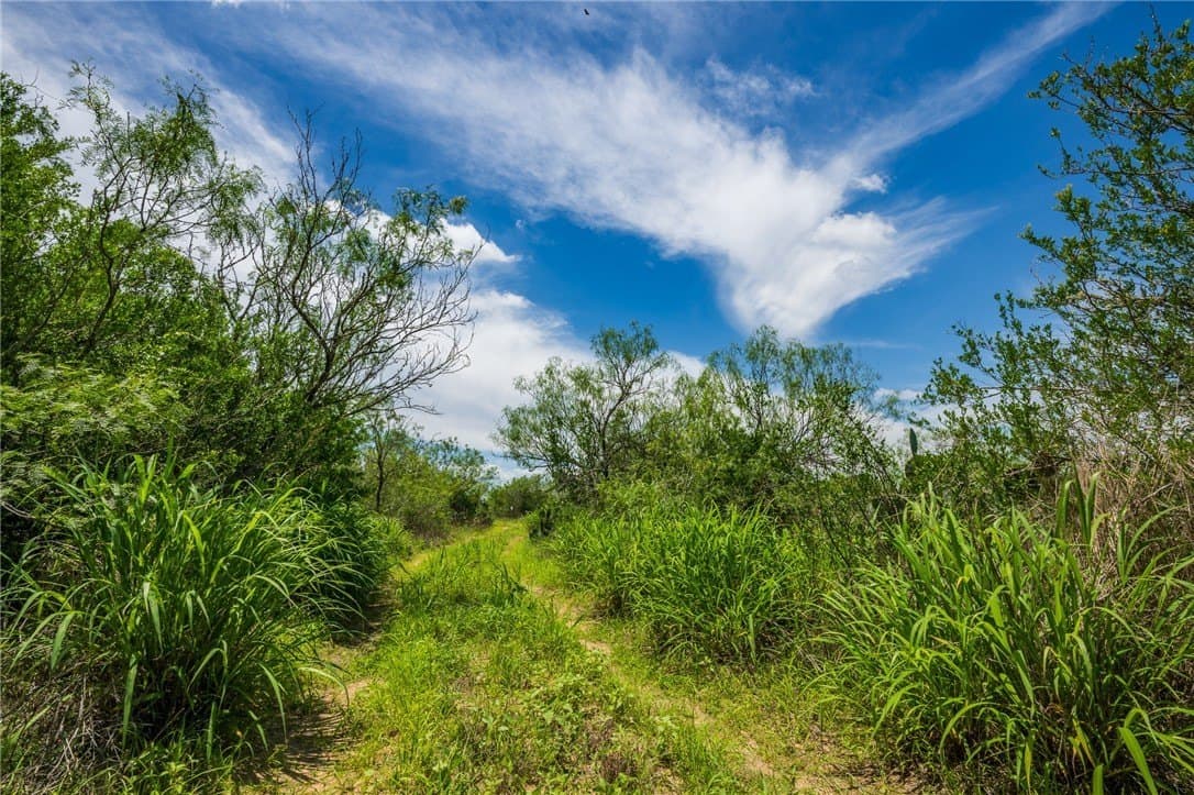30 acres in Duval County - photo 9