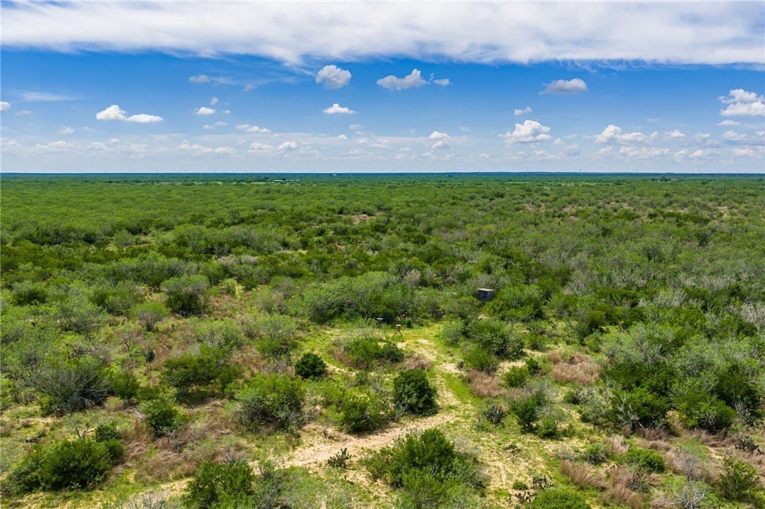 30 acres in Duval County - photo 10